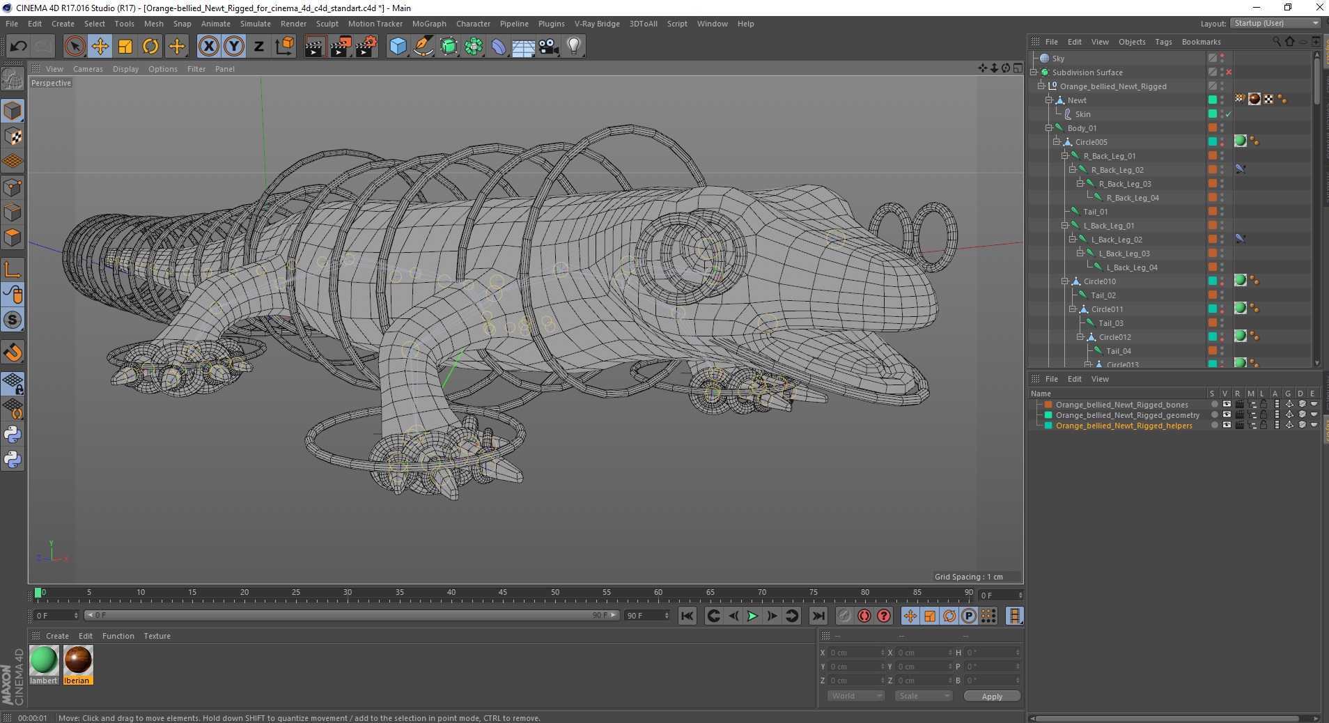 3D model Orange-bellied Newt Rigged for Cinema 4D
