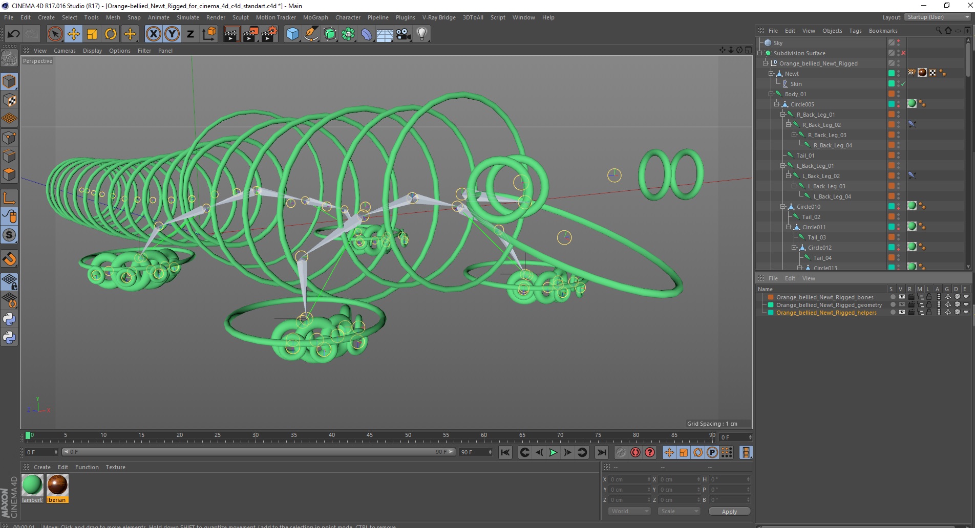 3D model Orange-bellied Newt Rigged for Cinema 4D