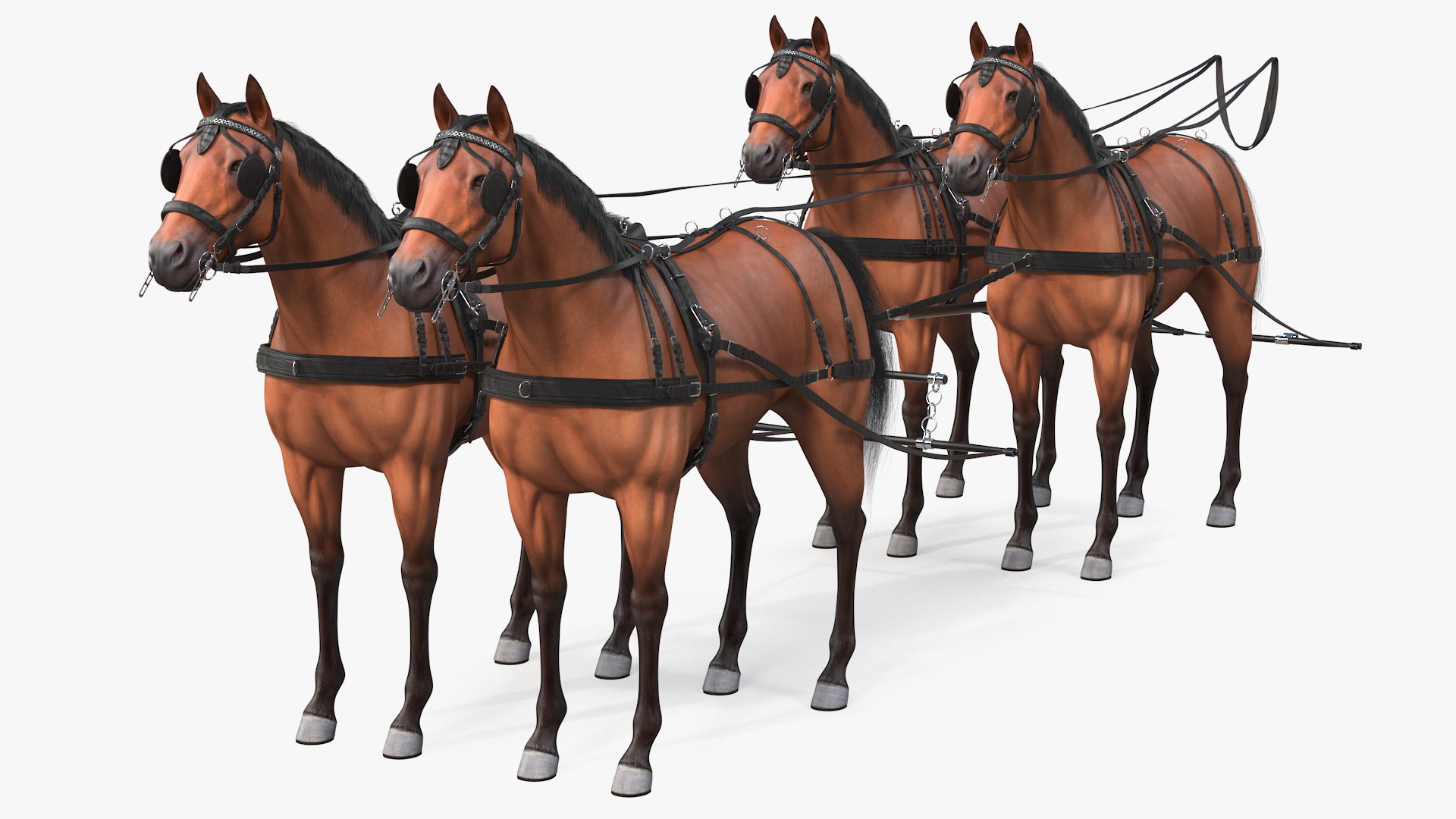 3D Team of Four Harness Fur Rigged