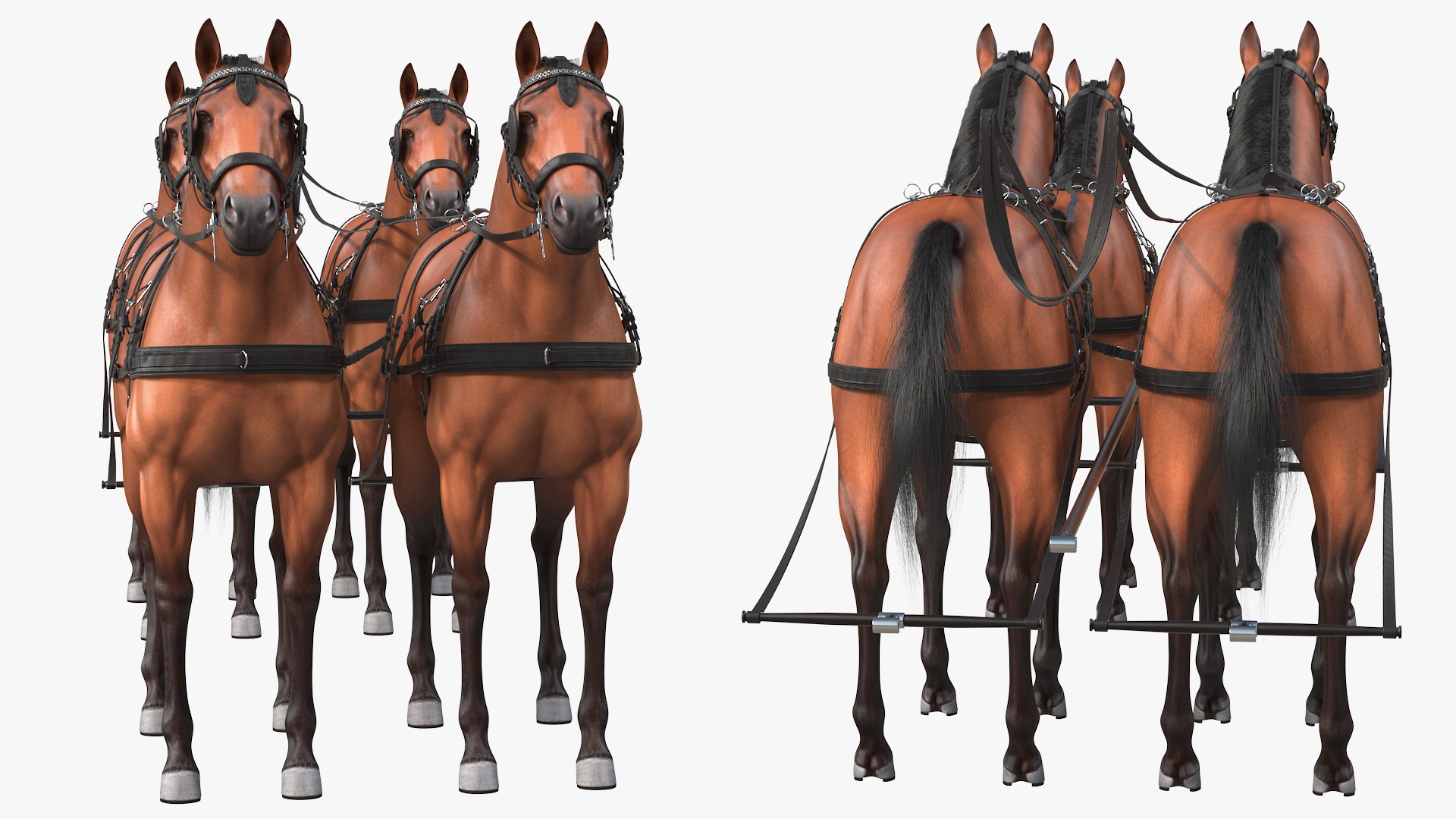 3D Team of Four Harness Fur Rigged