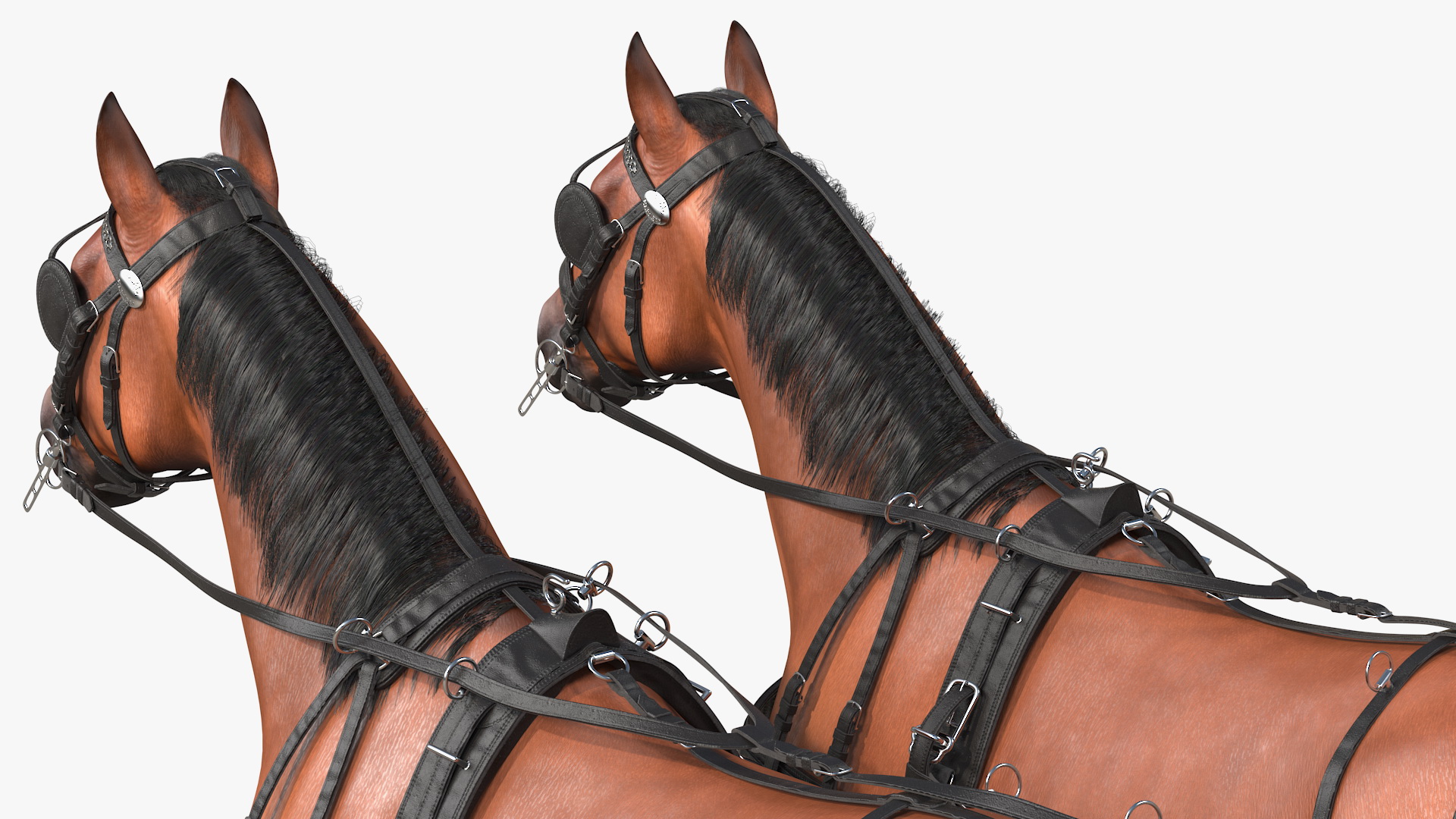 3D Team of Four Harness Fur Rigged