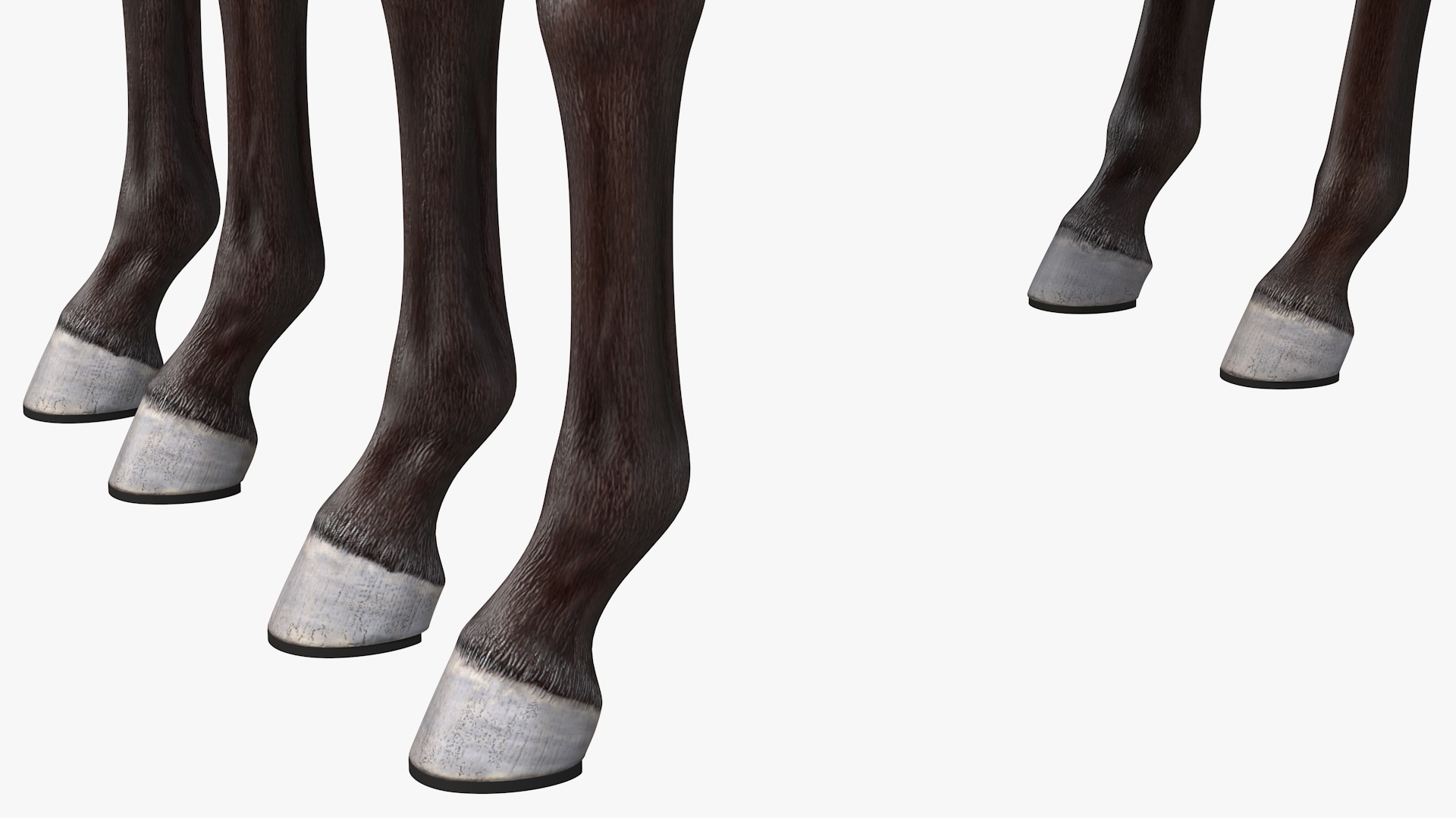 3D Team of Four Harness Fur Rigged