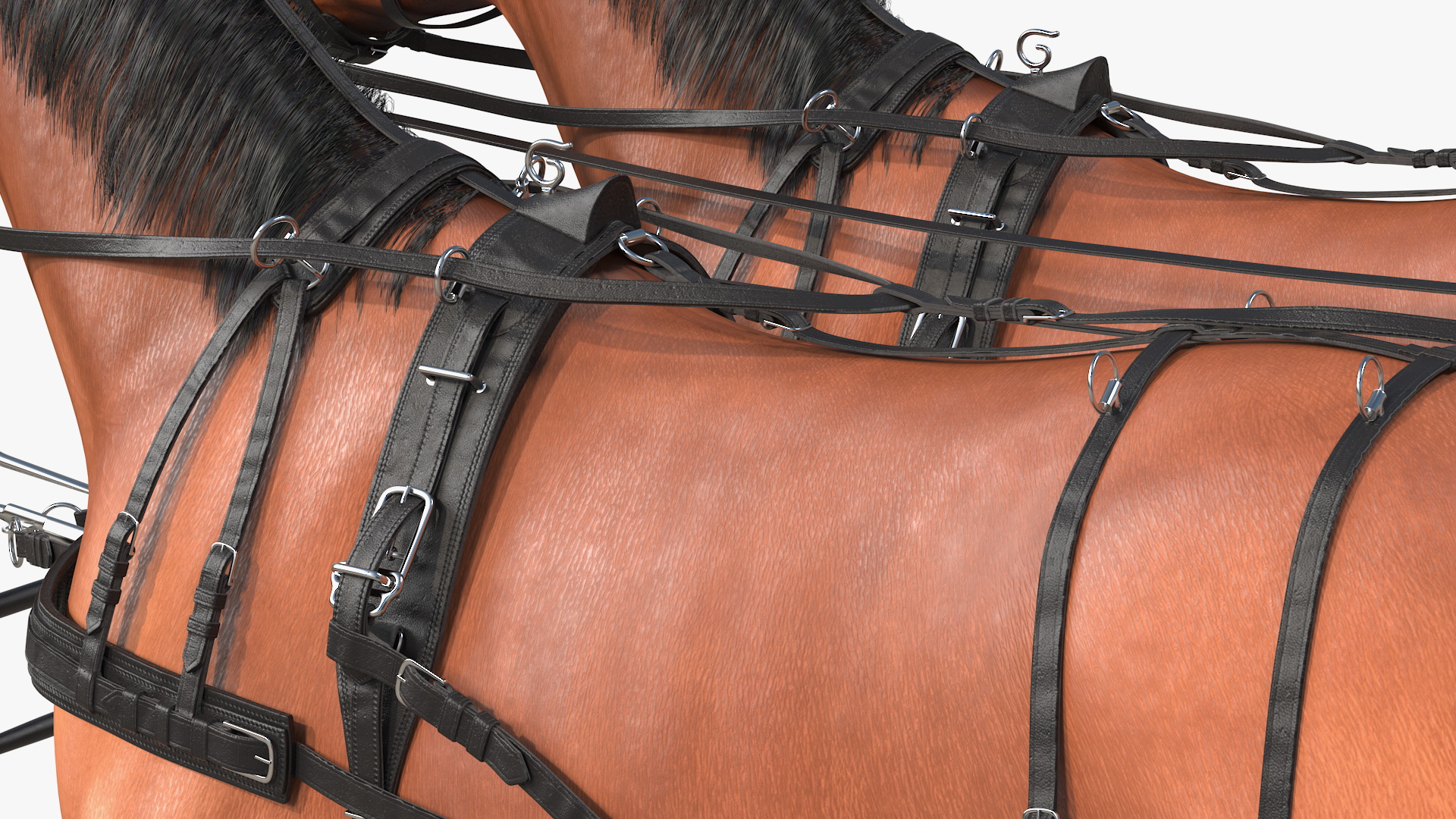 3D Team of Four Harness Fur Rigged