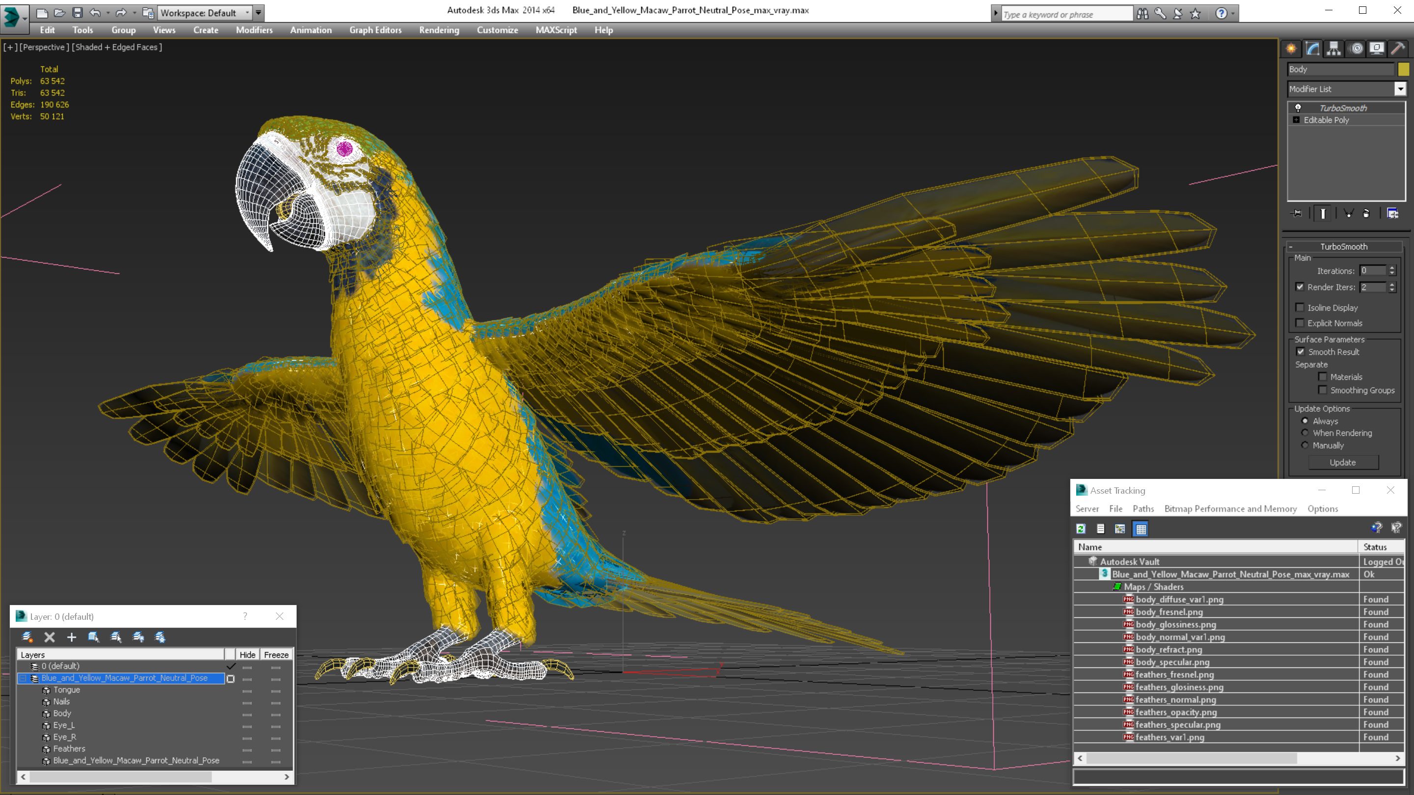 3D Blue and Yellow Macaw Parrot Neutral Pose