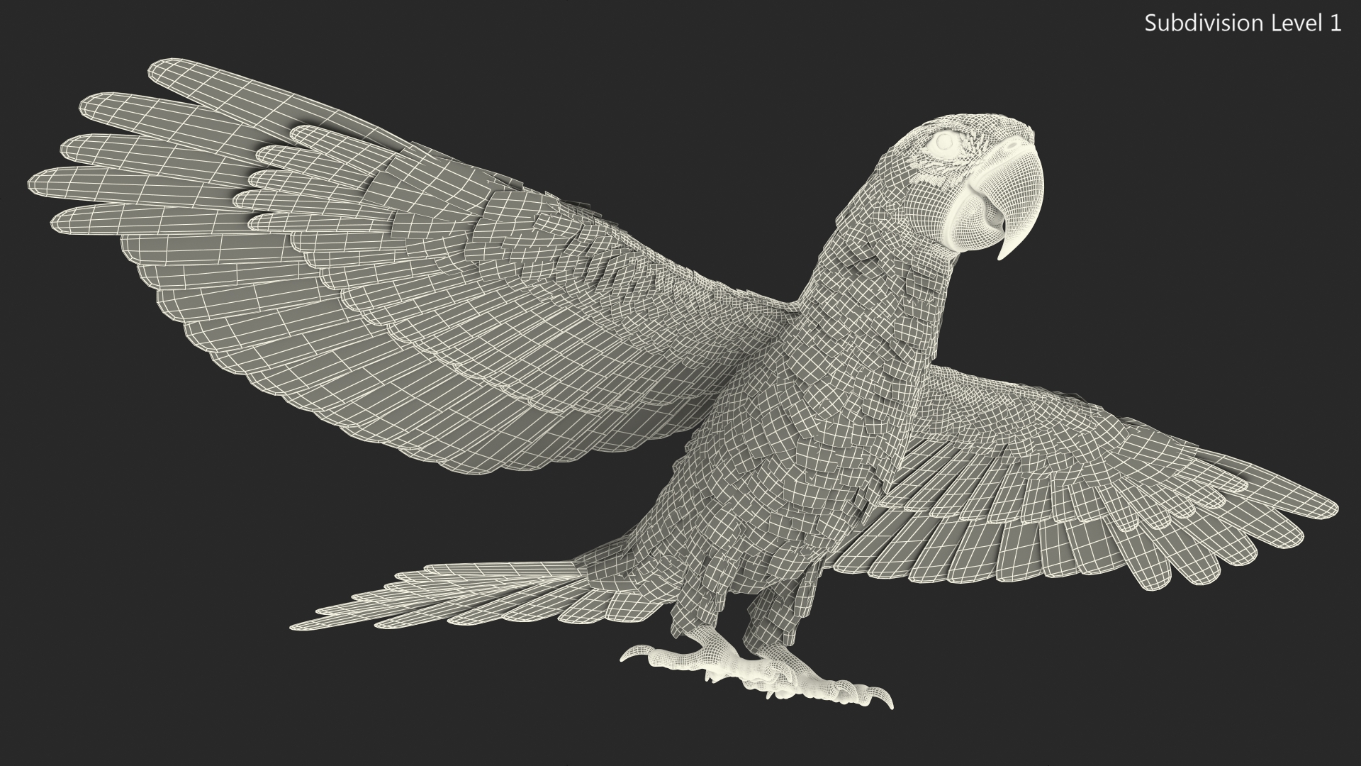 3D Blue and Yellow Macaw Parrot Neutral Pose