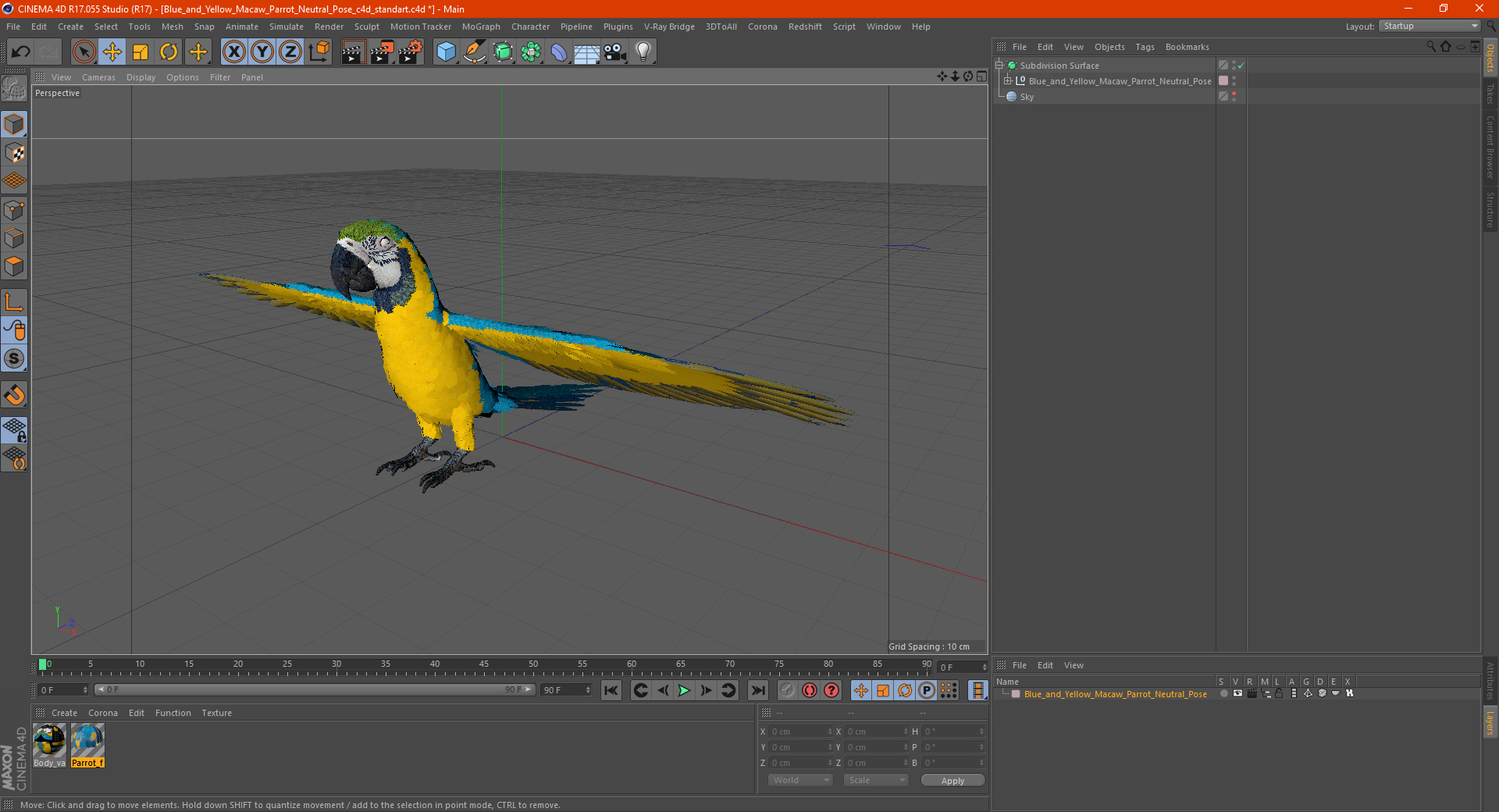 3D Blue and Yellow Macaw Parrot Neutral Pose