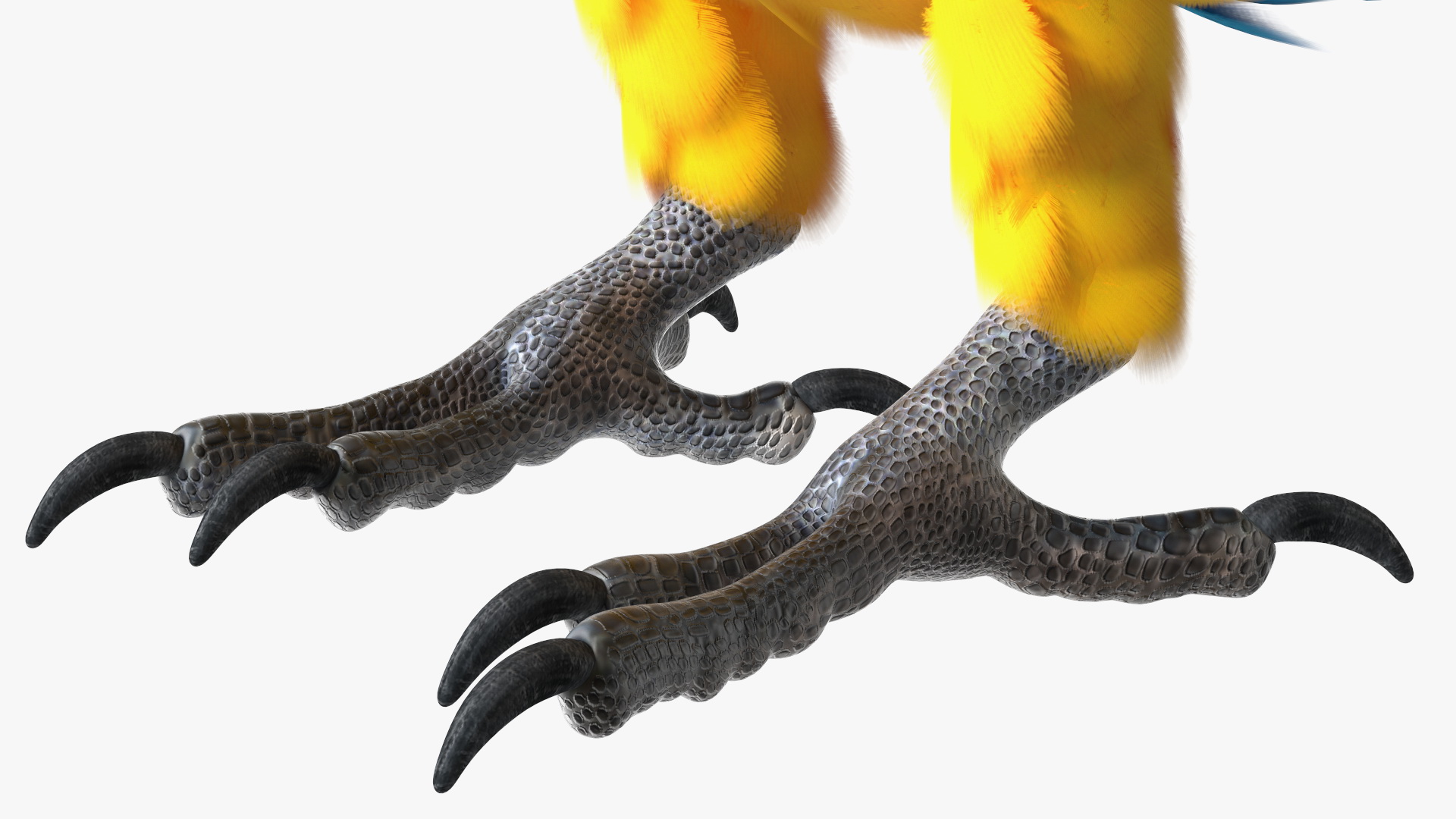 3D Blue and Yellow Macaw Parrot Neutral Pose
