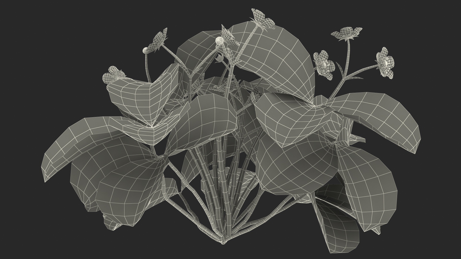 3D Garden Strawberry Plant with Flowers