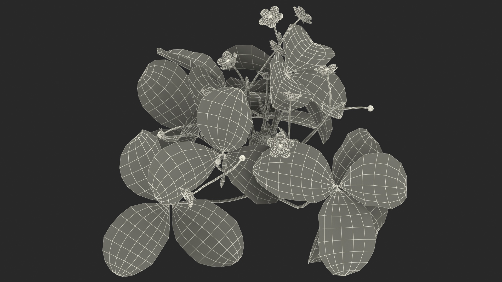 3D Garden Strawberry Plant with Flowers