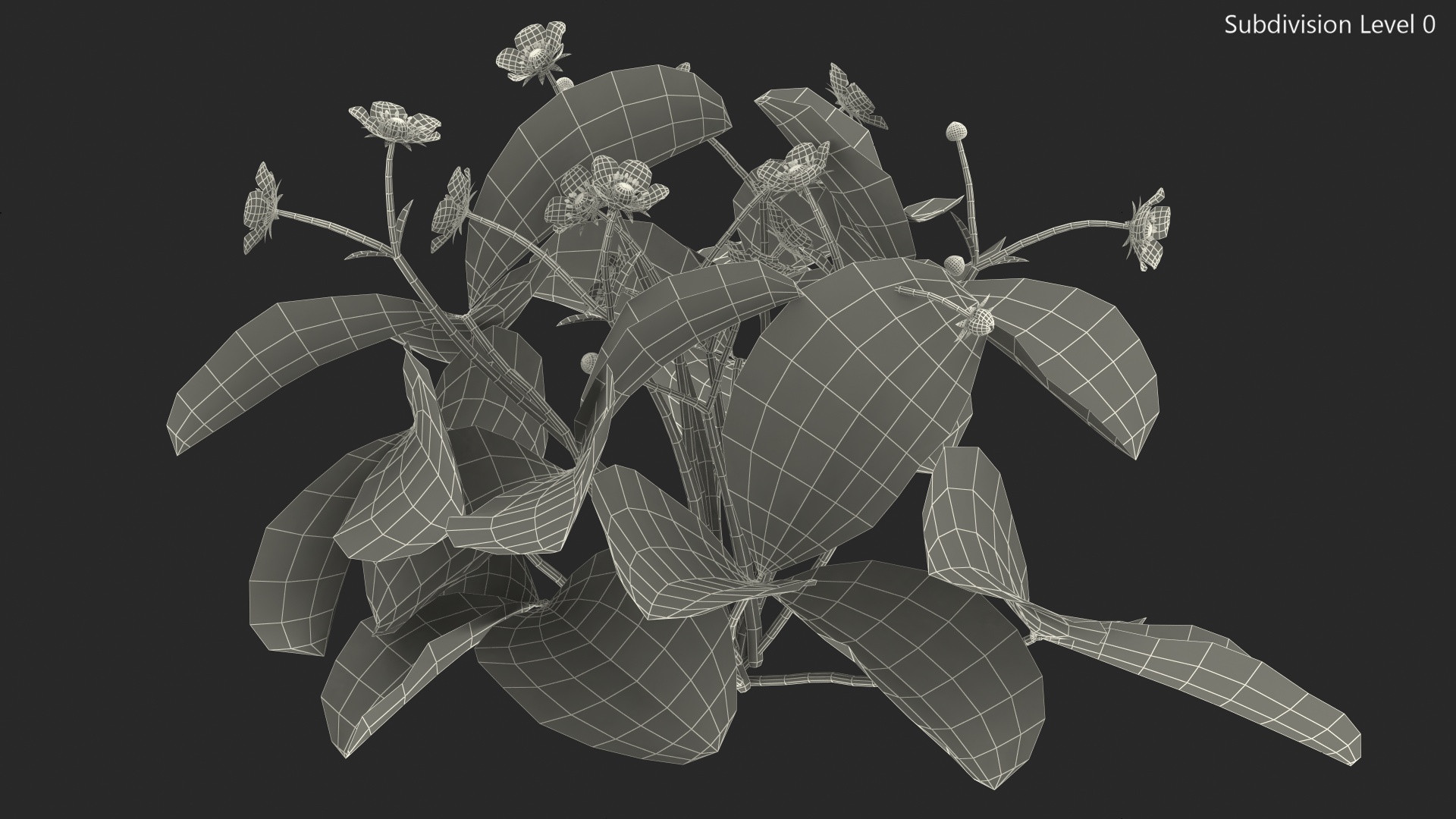 3D Garden Strawberry Plant with Flowers