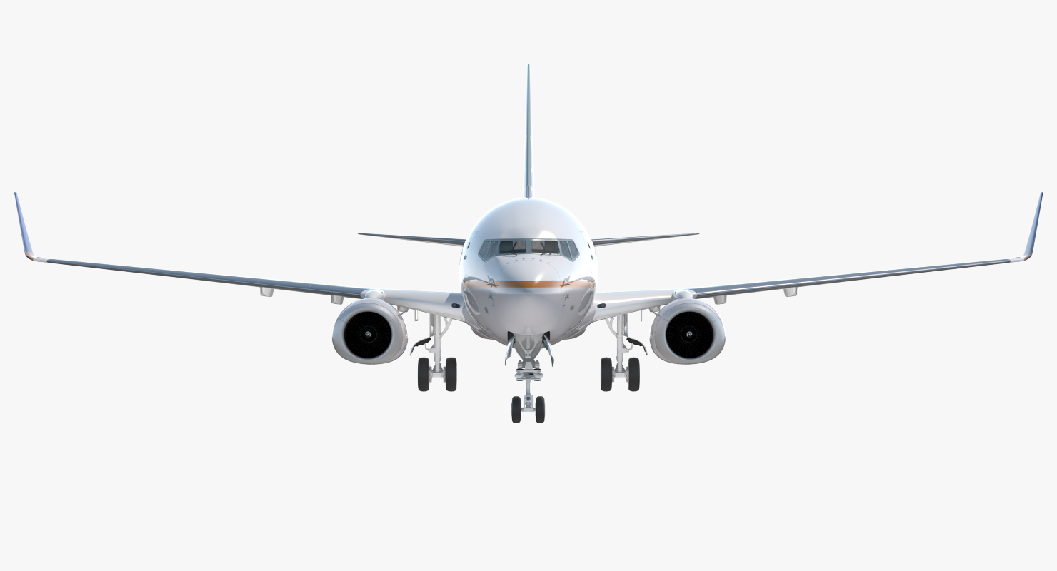 Boeing 737 900 United Airlines Rigged 3D