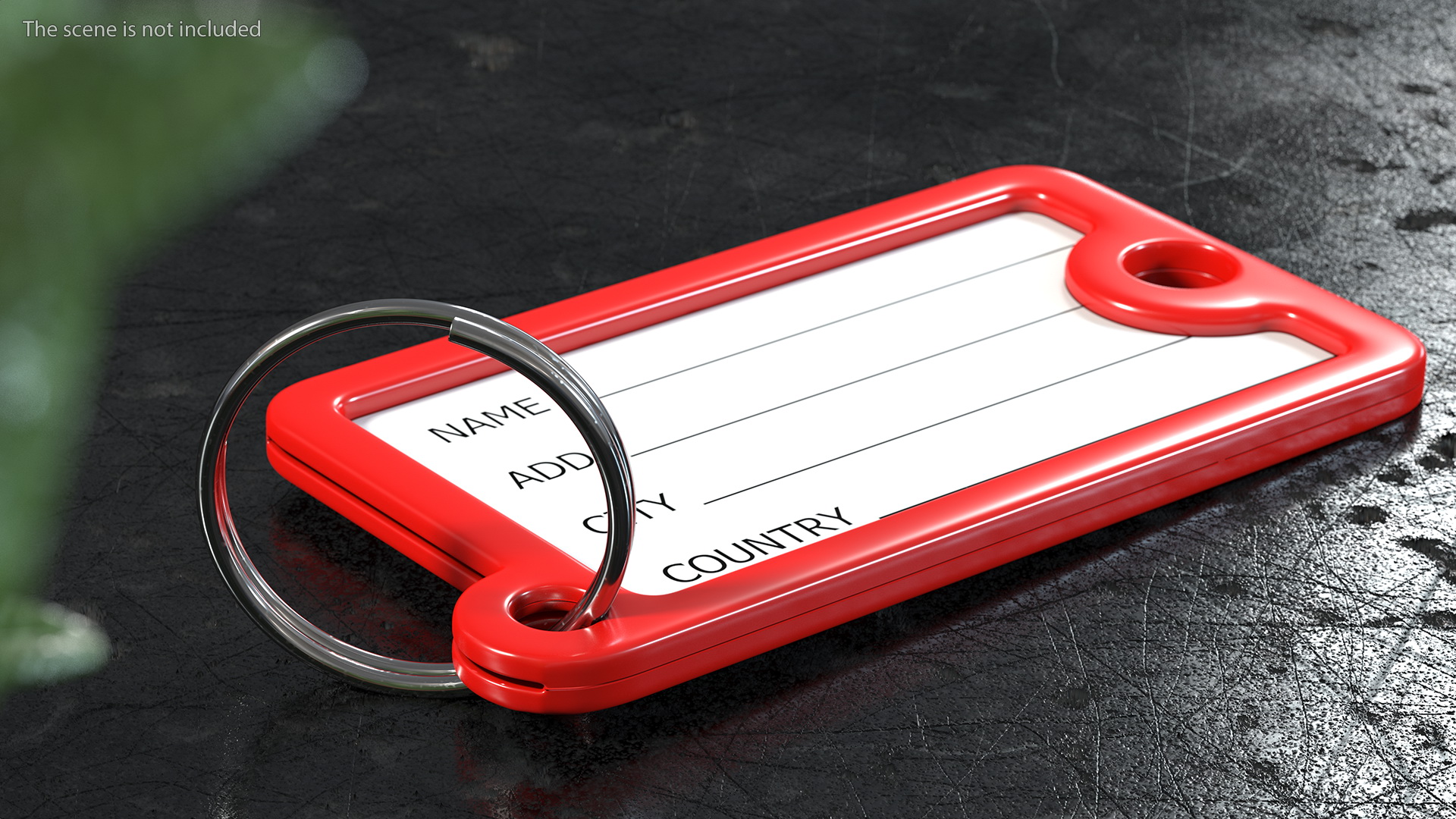 Plastic Key Tags with Label Window 3D model