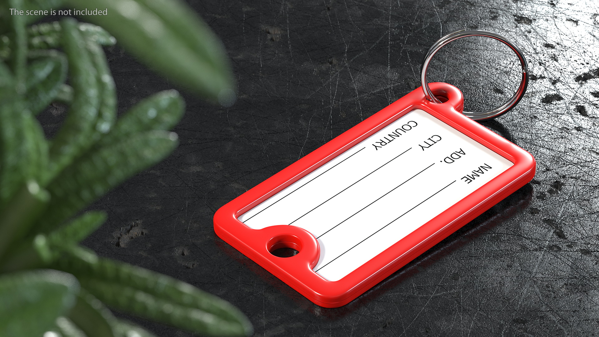 Plastic Key Tags with Label Window 3D model