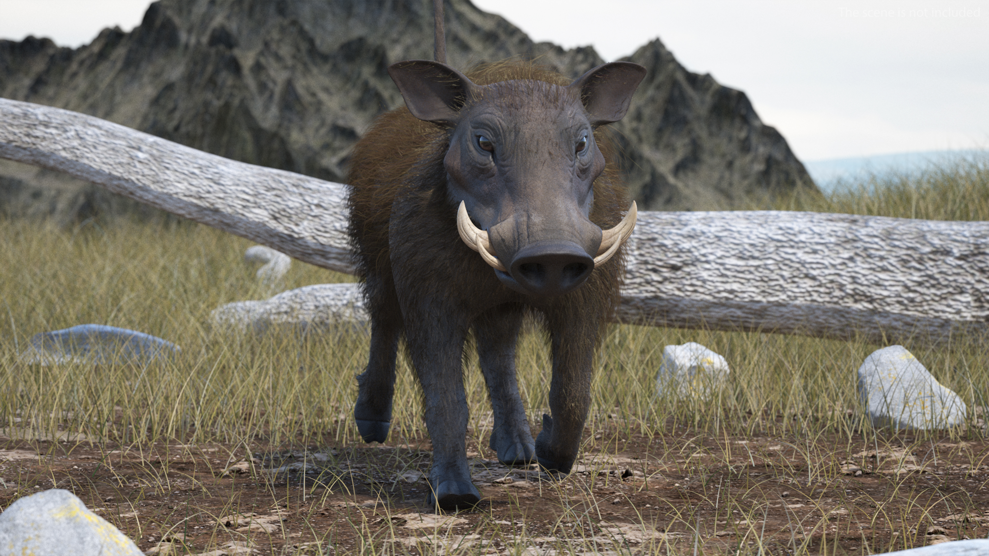 African Boar Walking Pose Fur 3D model