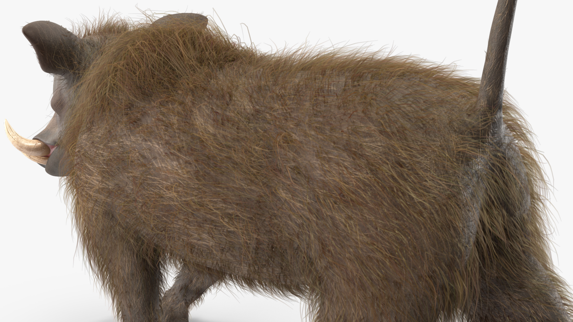 African Boar Walking Pose Fur 3D model