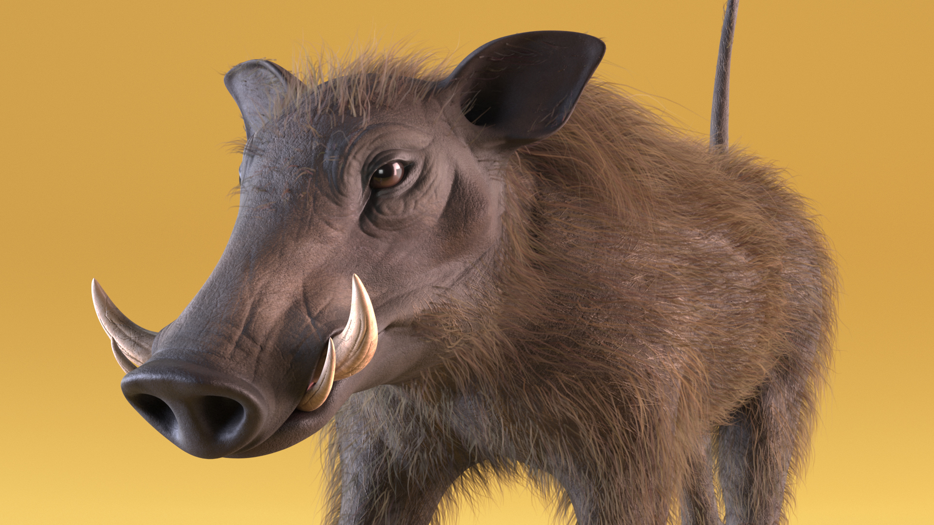 African Boar Walking Pose Fur 3D model