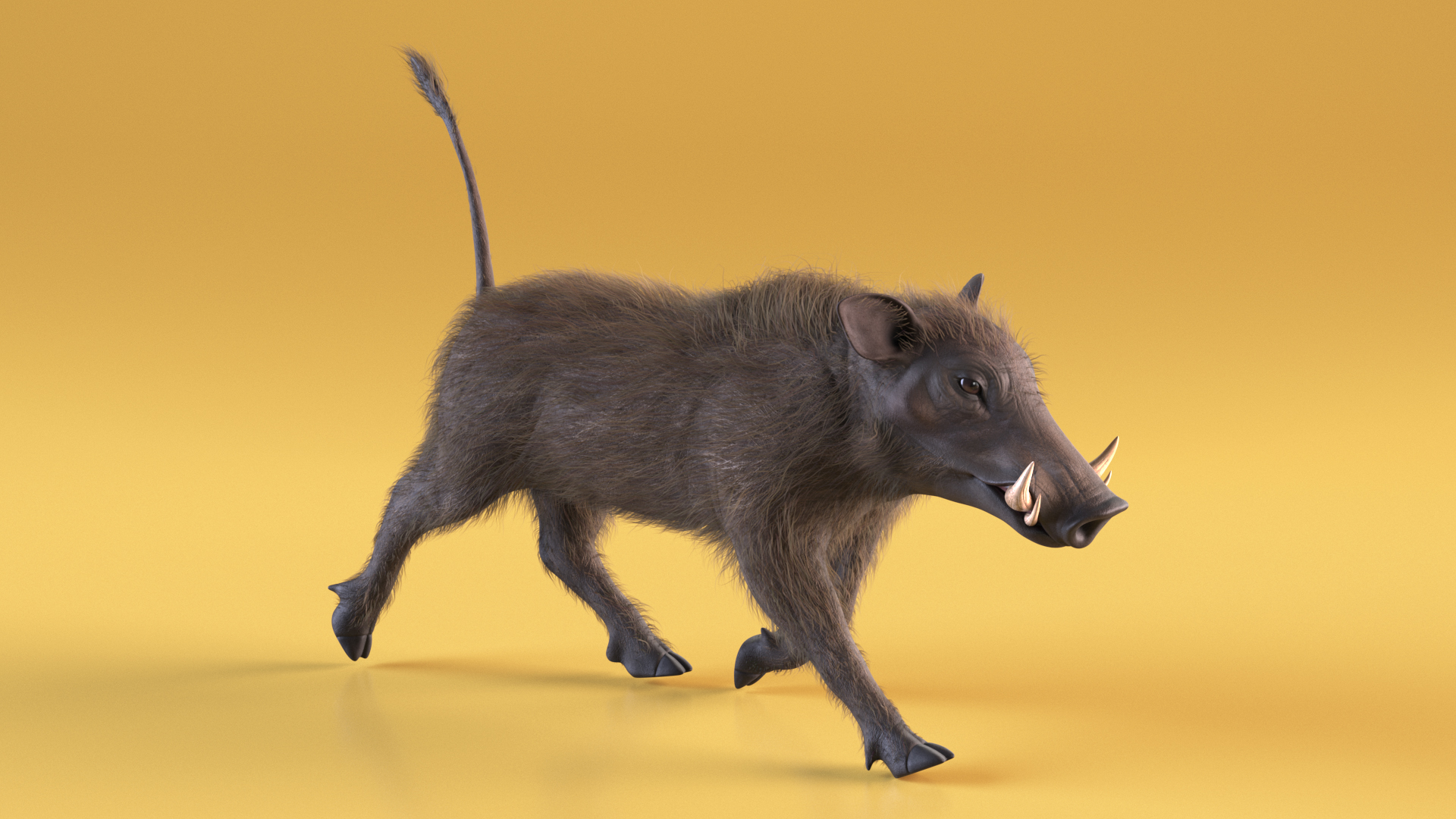 African Boar Walking Pose Fur 3D model