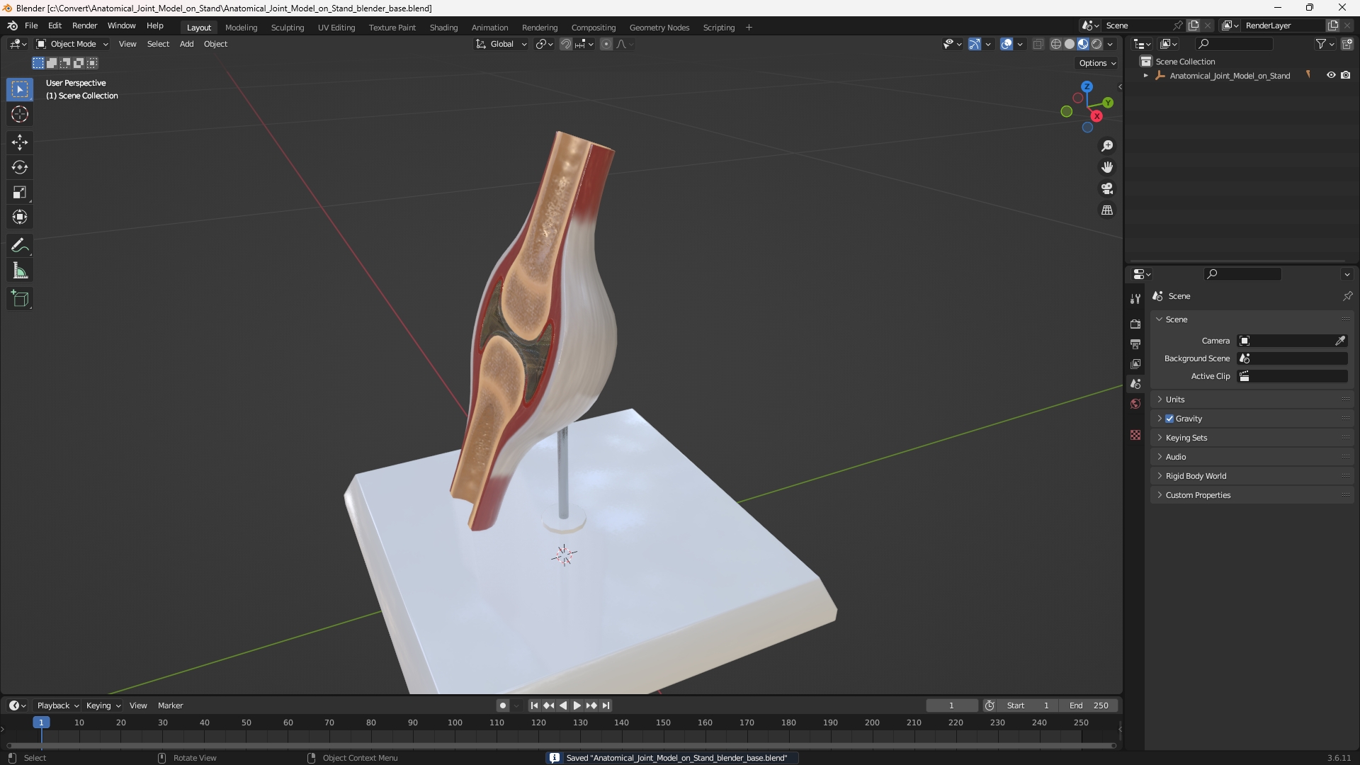 Anatomical Joint Model on Stand - view 10