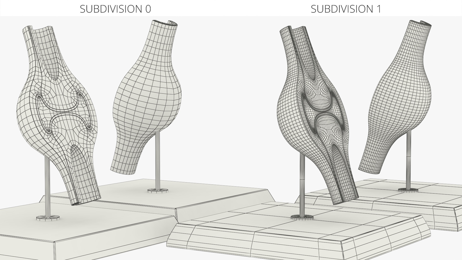 Anatomical Joint Model on Stand - view 7