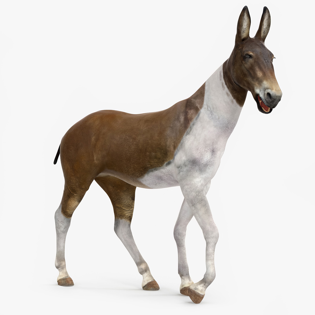3D model Mule Rigged for Maya