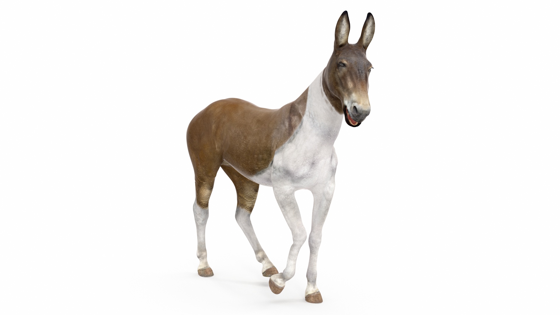 3D model Mule Rigged for Maya