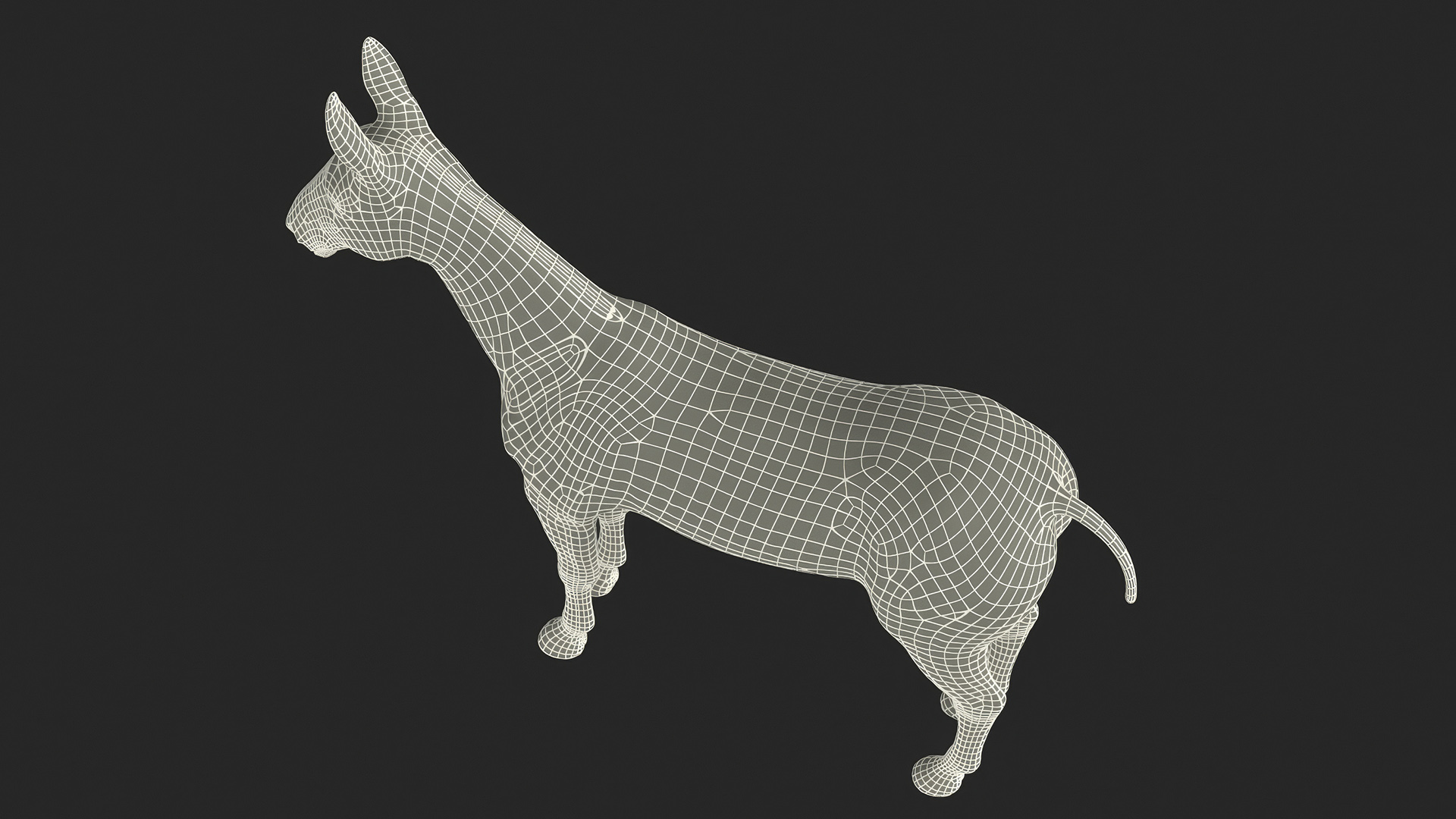 3D model Mule Rigged for Maya