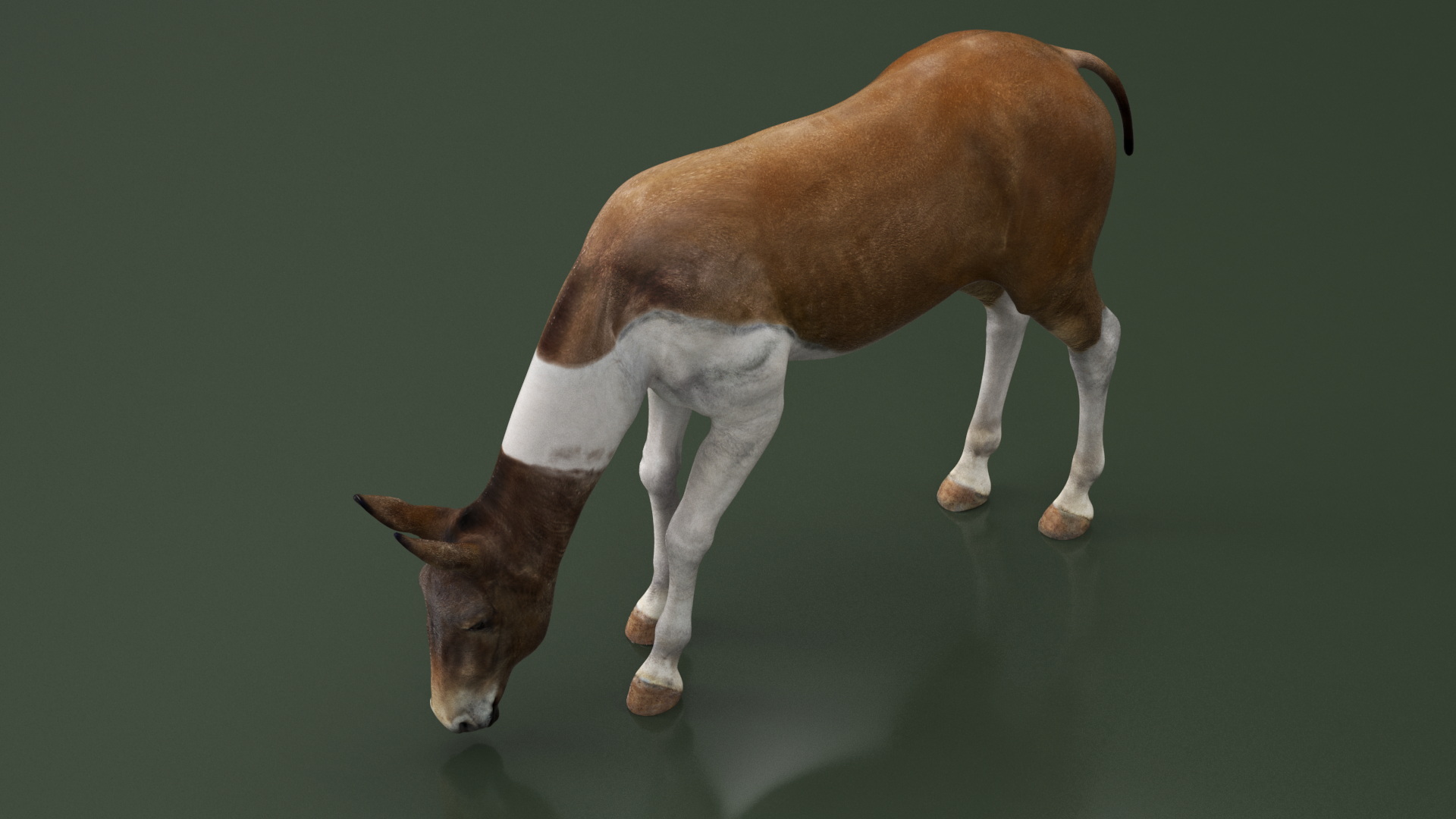 3D model Mule Rigged for Maya