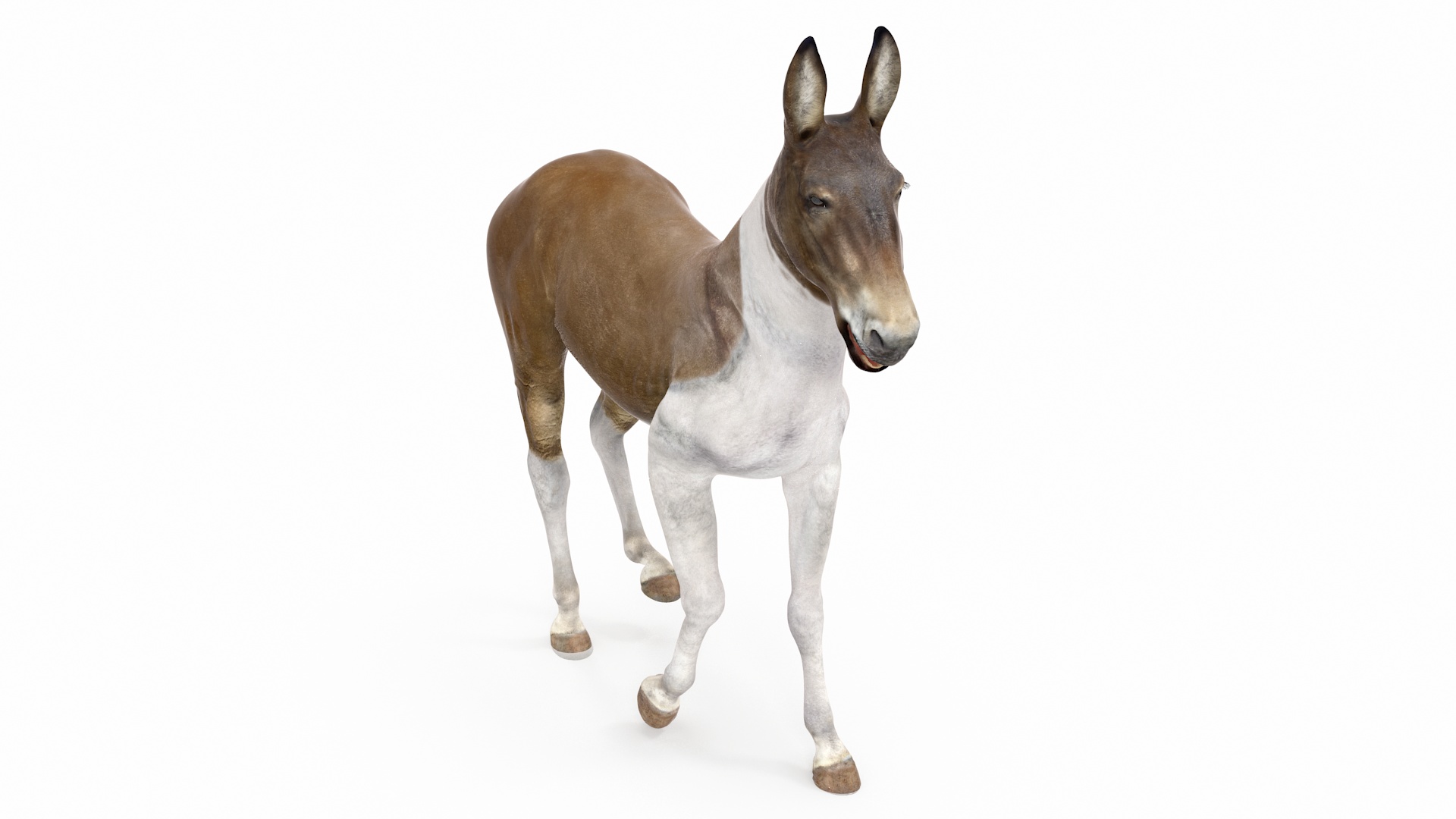 3D model Mule Rigged for Maya