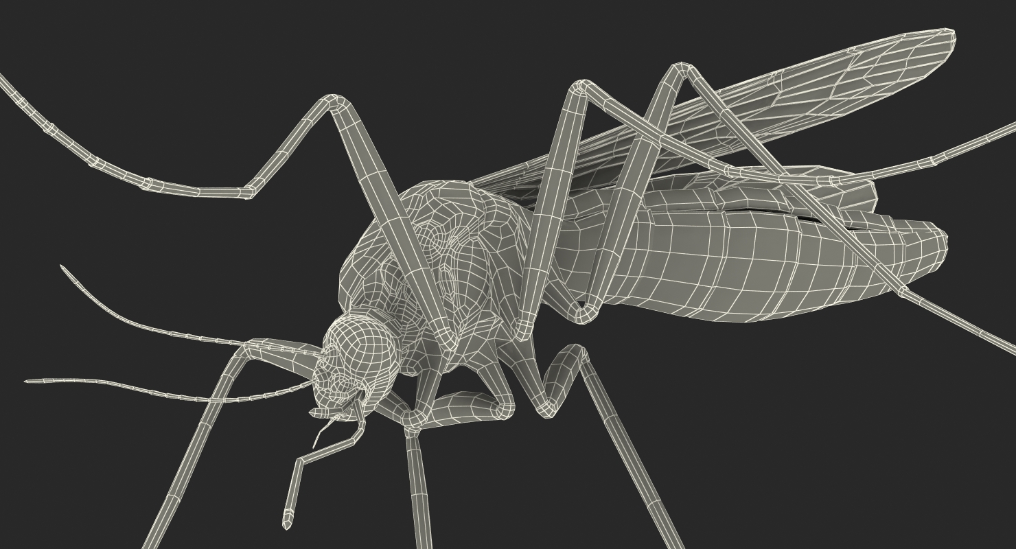 Mosquito Pose 2 with Fur 3D model