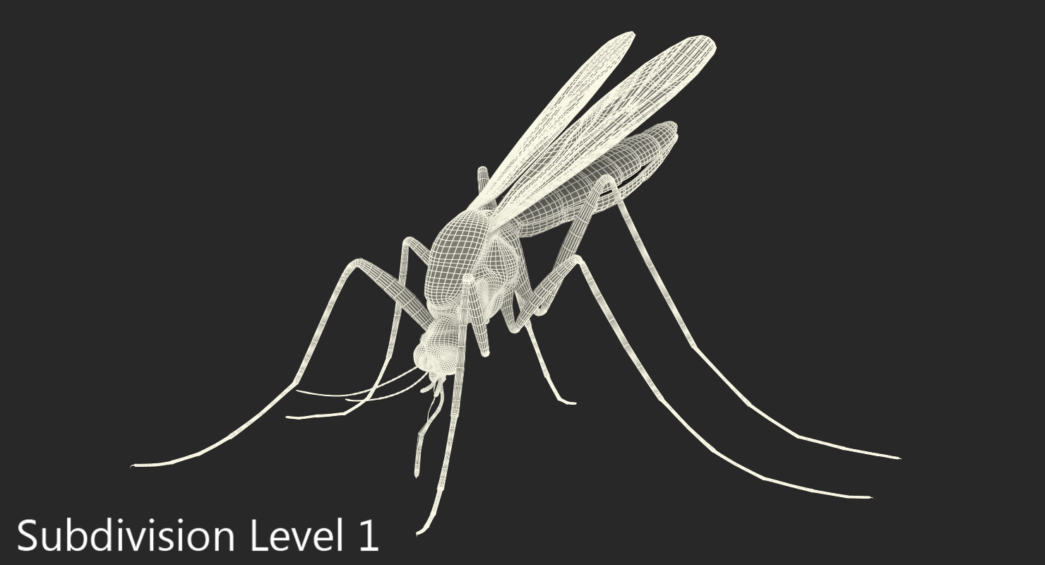 Mosquito Pose 2 with Fur 3D model