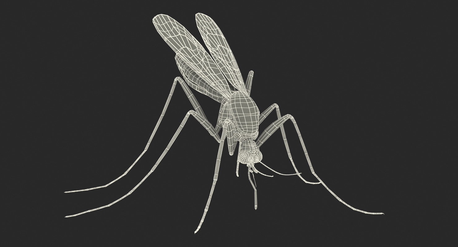 Mosquito Pose 2 with Fur 3D model