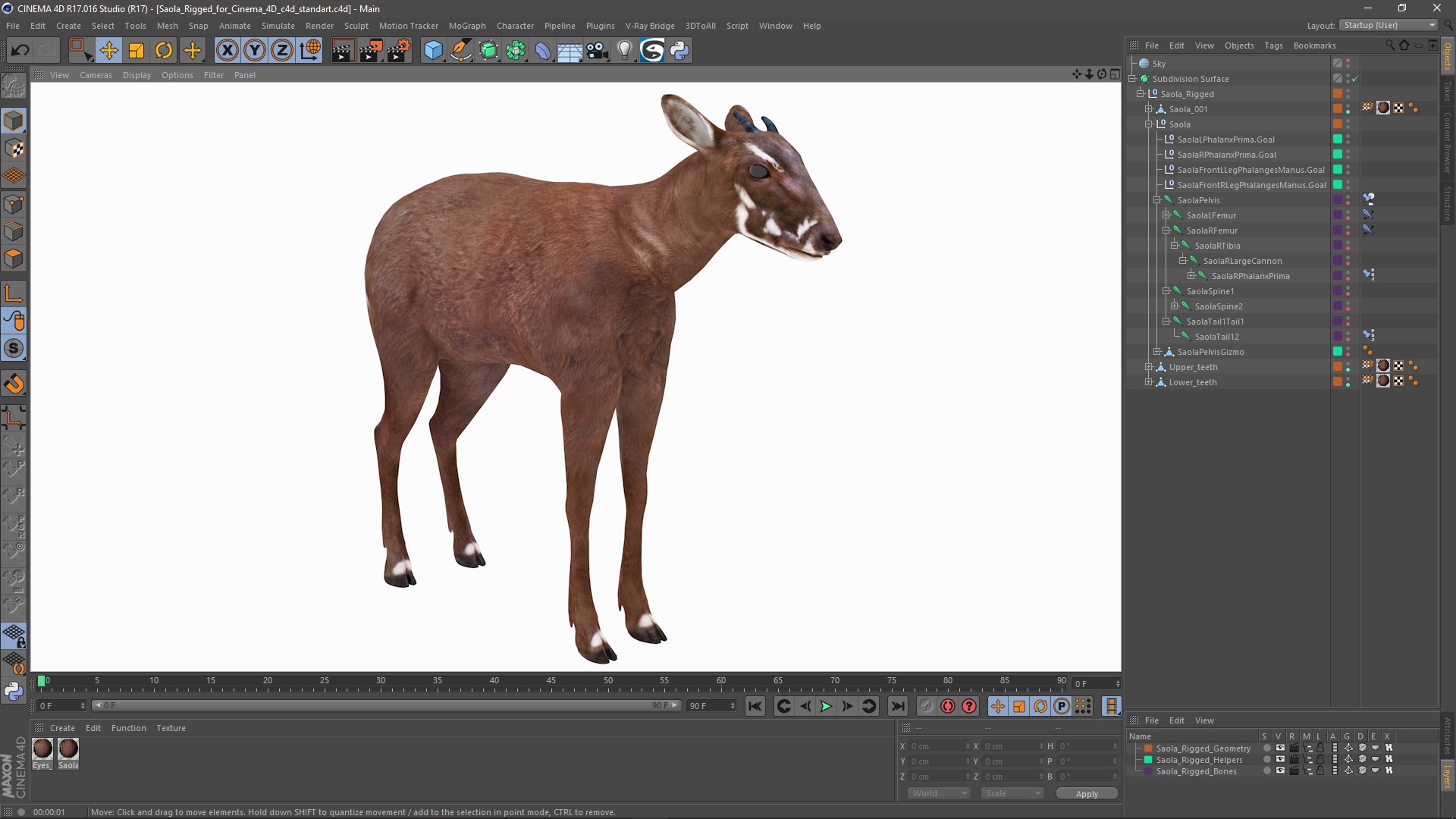 3D Saola Rigged for Cinema 4D