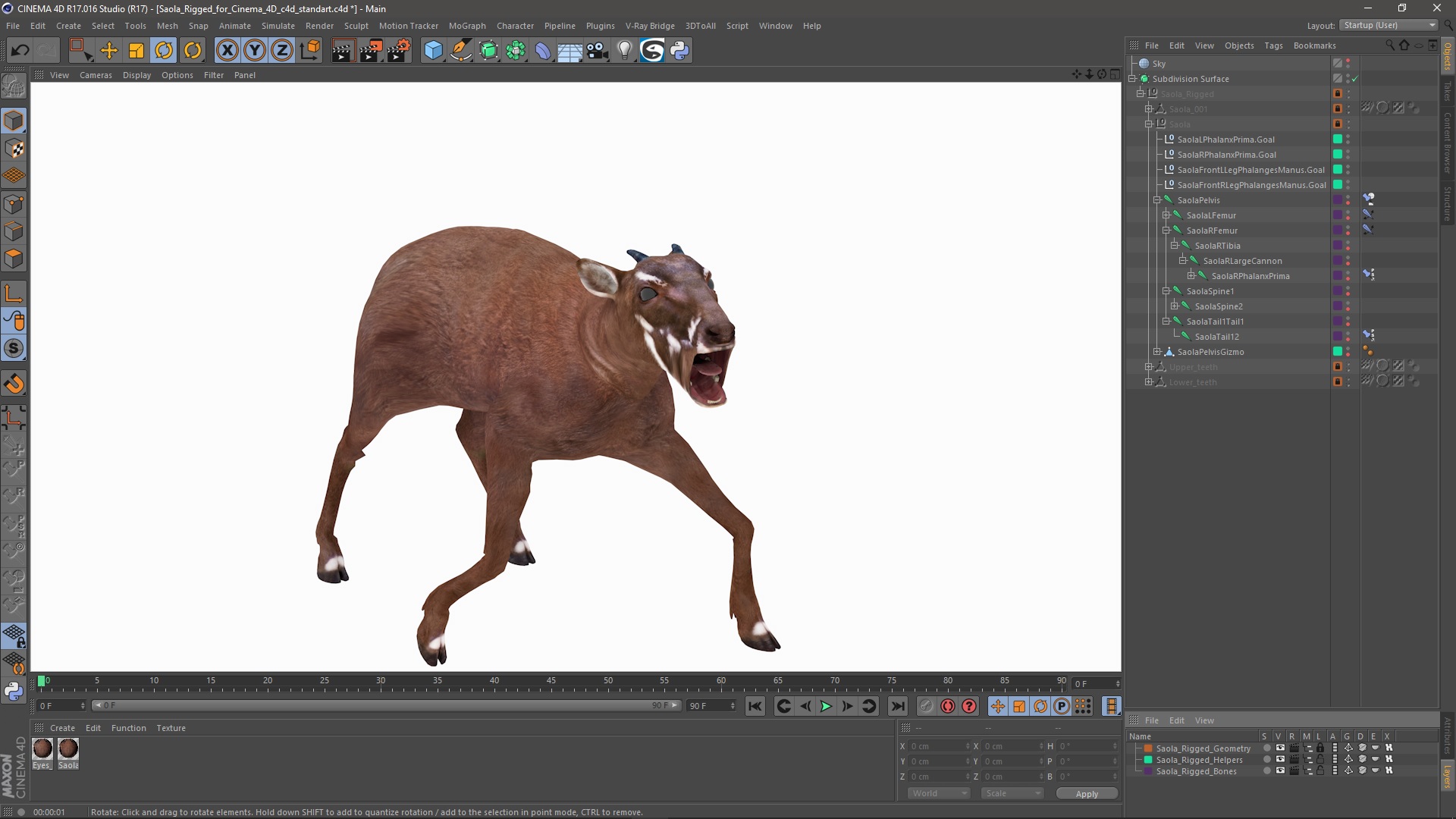 3D Saola Rigged for Cinema 4D