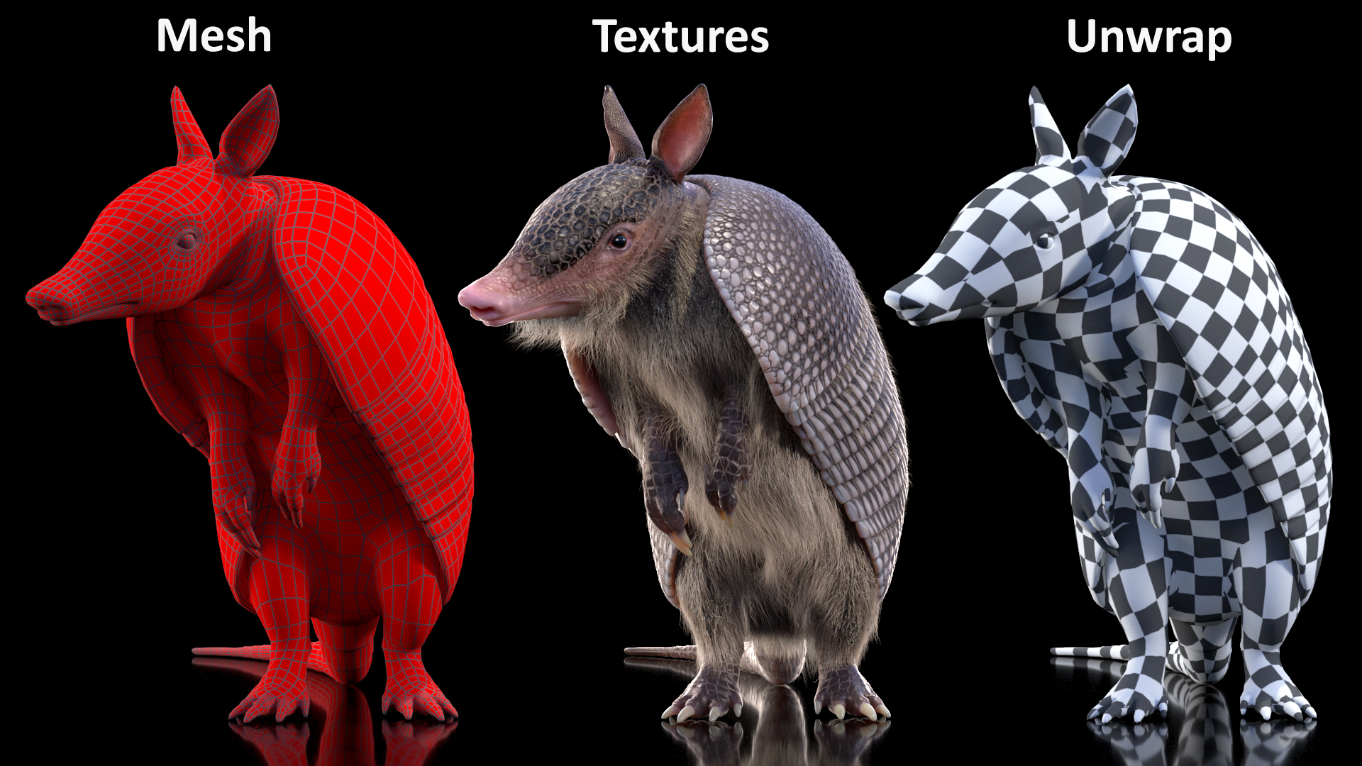 Armadillo in Hind Legs Pose Black Fur 3D