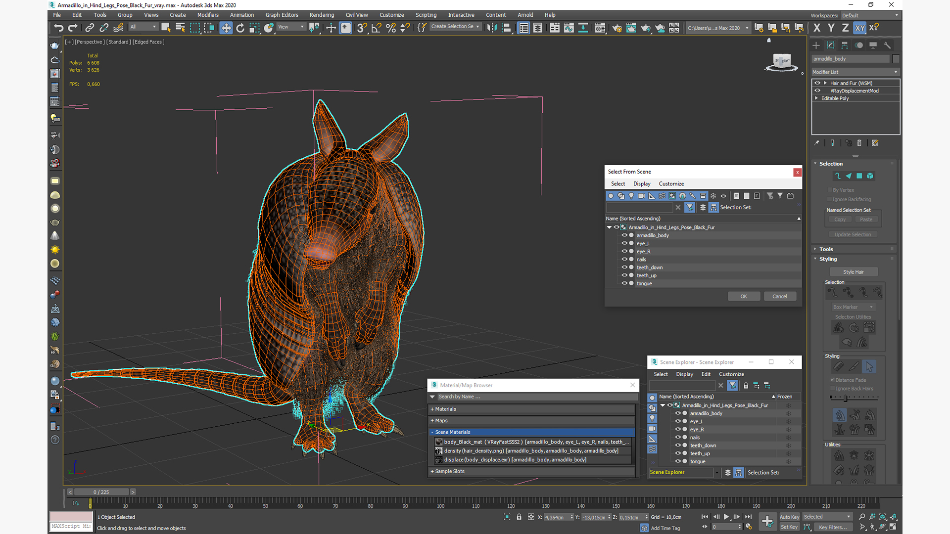 Armadillo in Hind Legs Pose Black Fur 3D