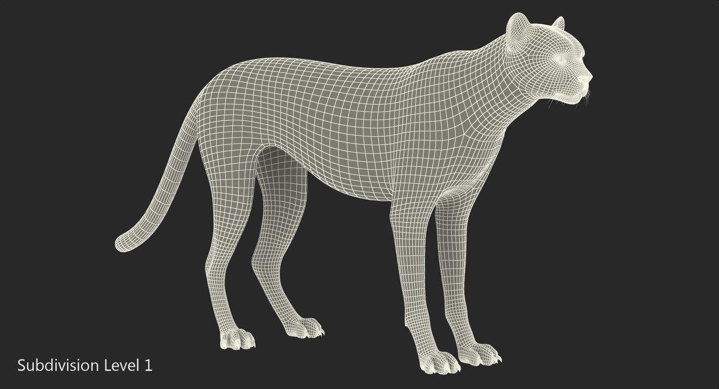 3D Cheetah with Fur