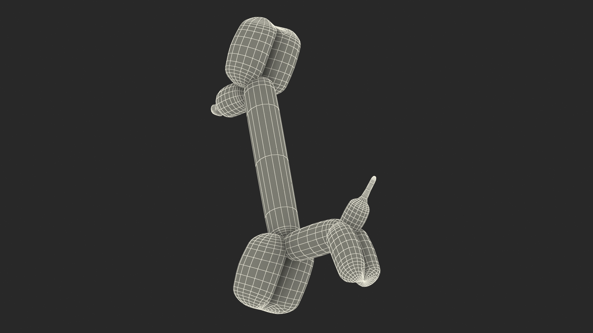 Balloon Animal Giraffe 3D