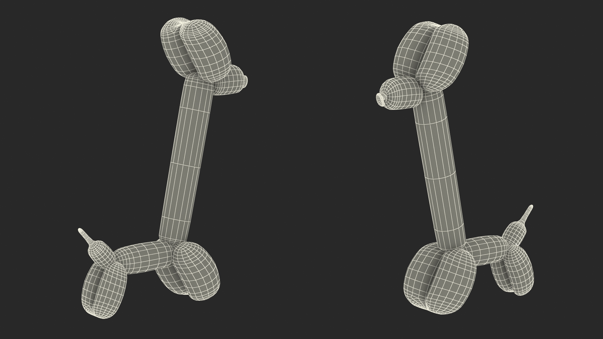 Balloon Animal Giraffe 3D