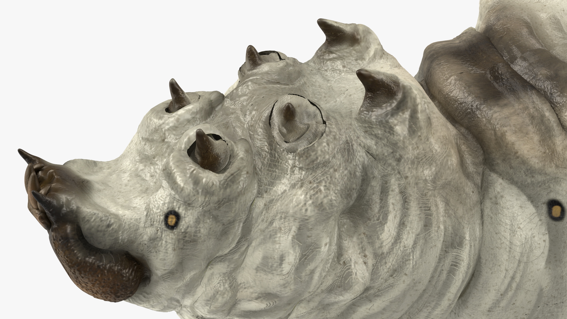 3D model Silkworm White Rigged for Maya