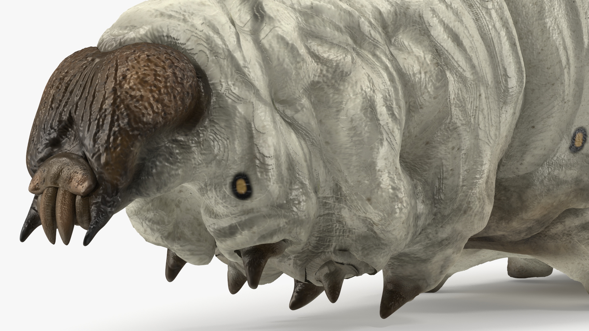 3D model Silkworm White Rigged for Maya