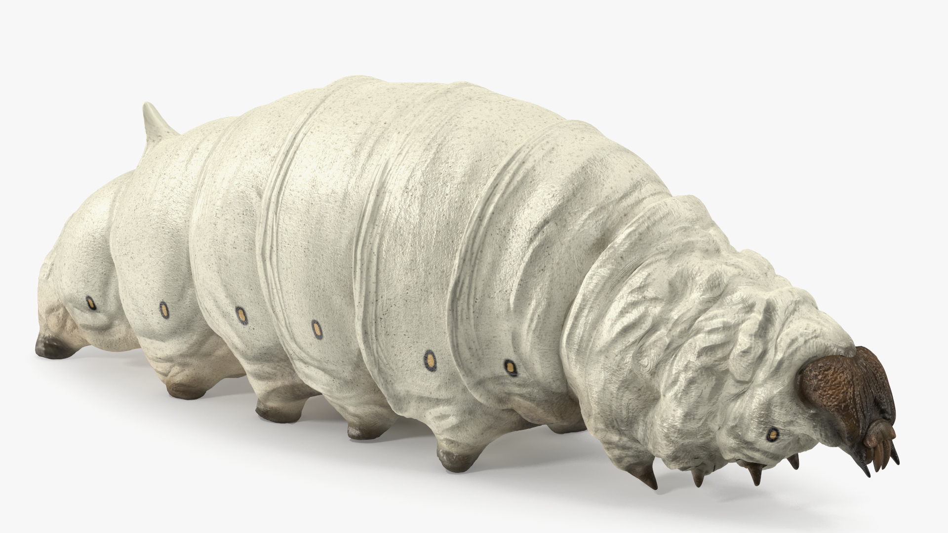 3D model Silkworm White Rigged for Maya