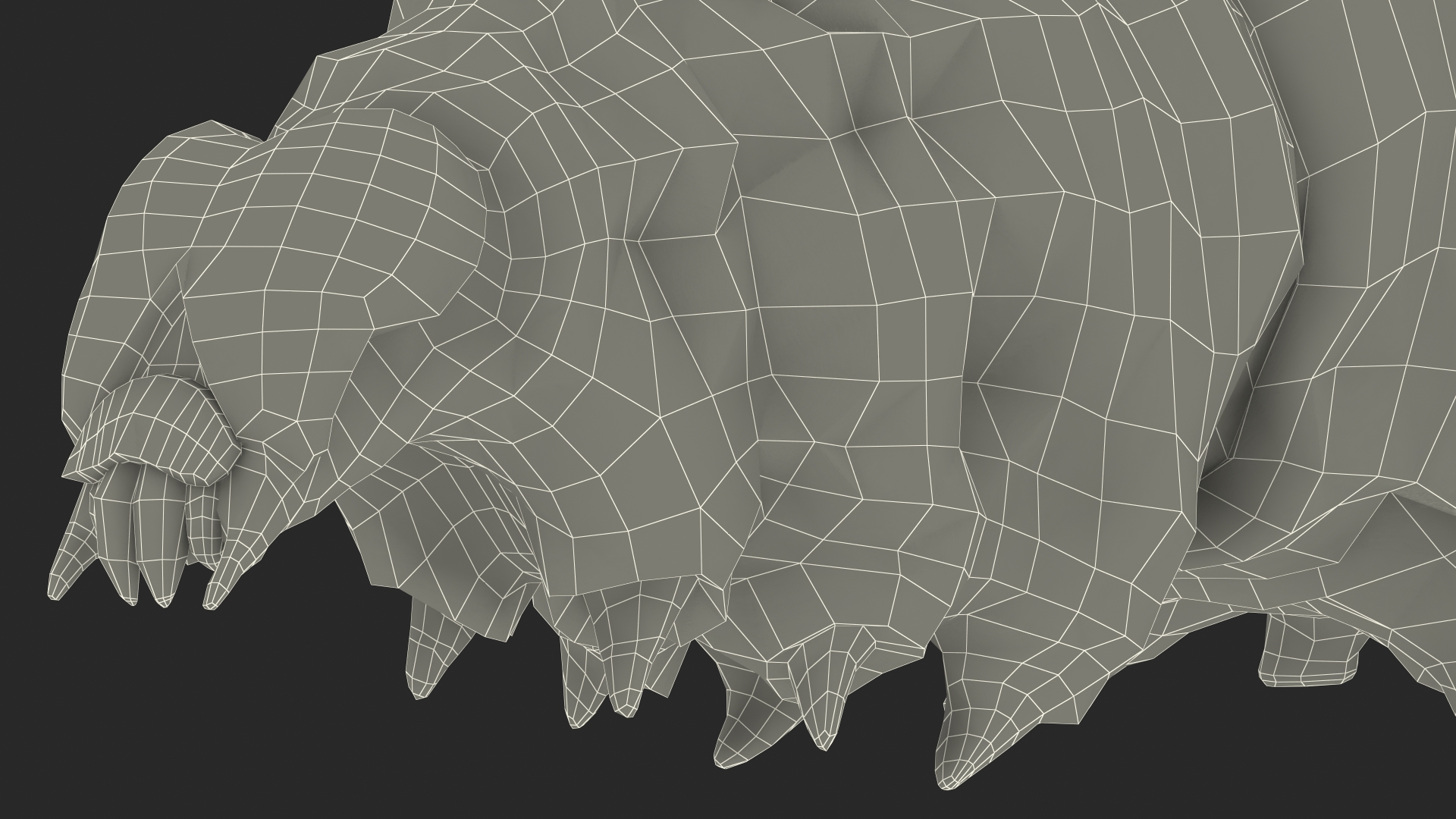 3D model Silkworm White Rigged for Maya