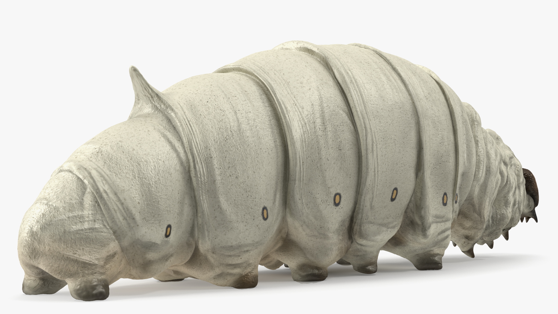 3D model Silkworm White Rigged for Maya