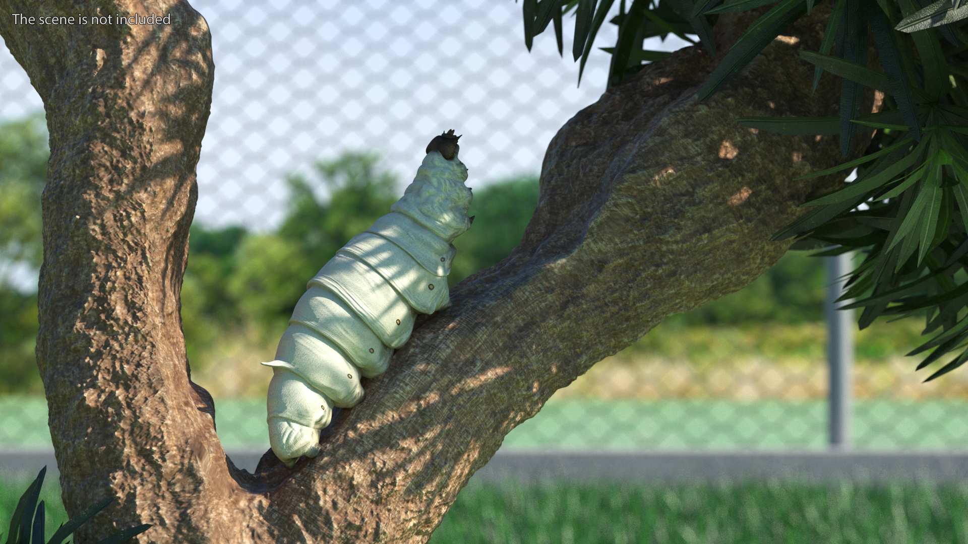 3D model Silkworm White Rigged for Maya