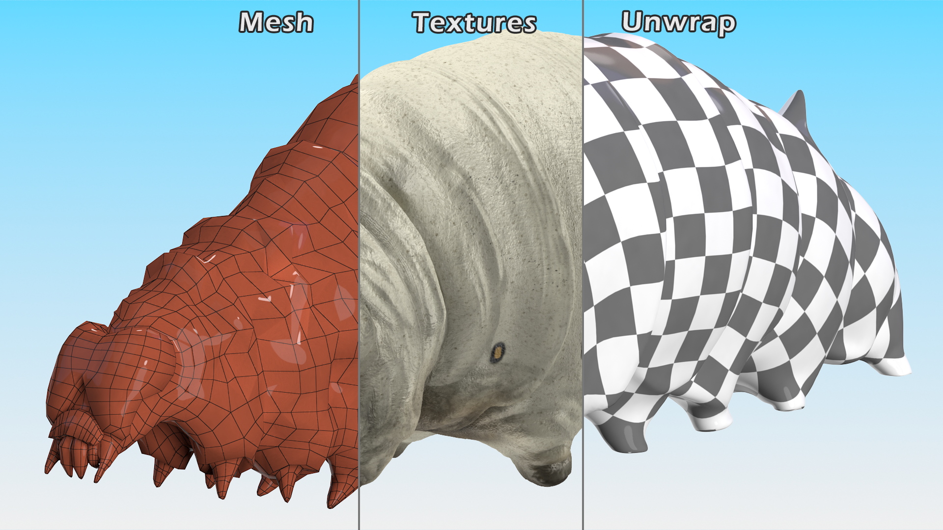 3D model Silkworm White Rigged for Maya