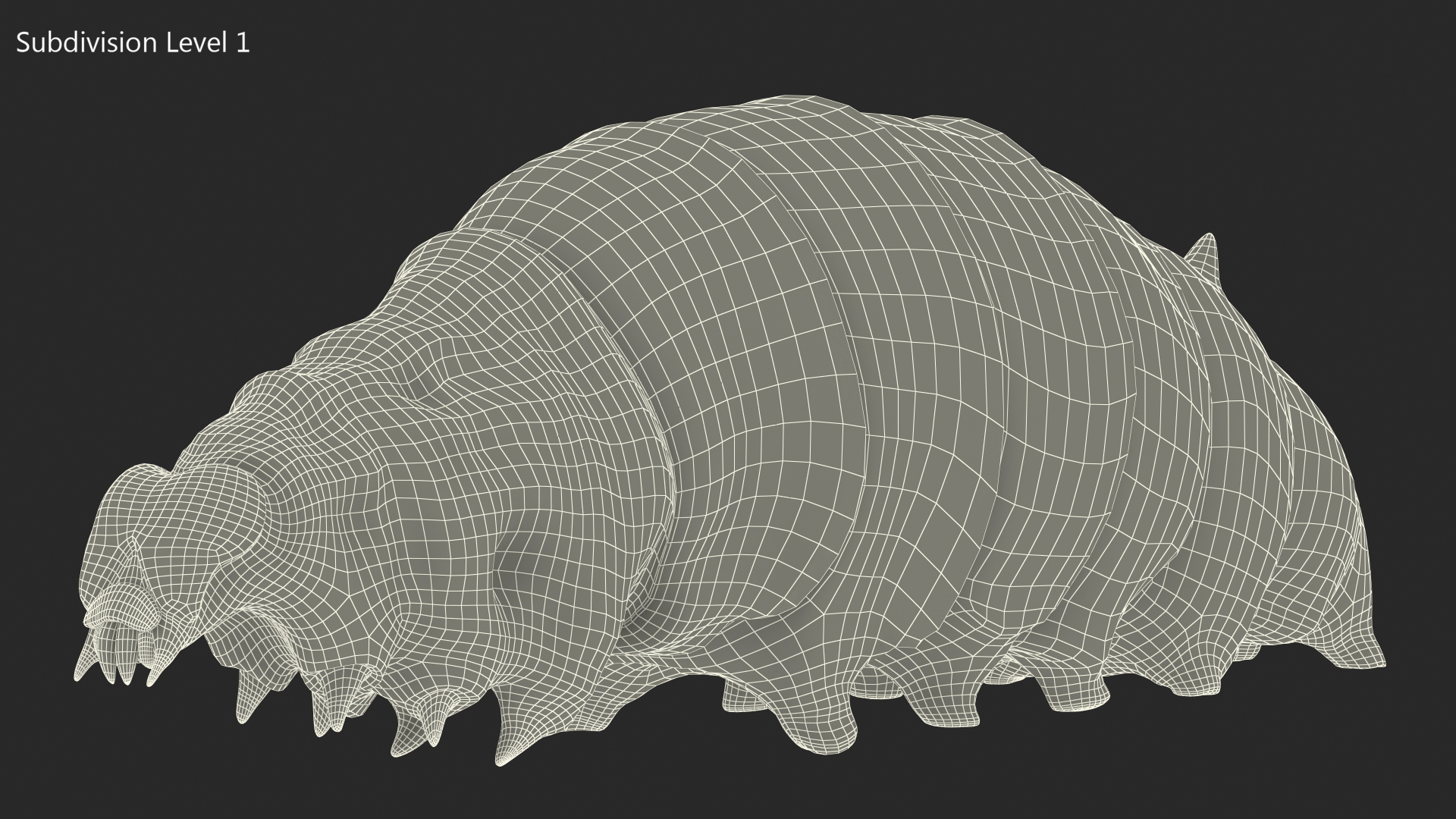 3D model Silkworm White Rigged for Maya
