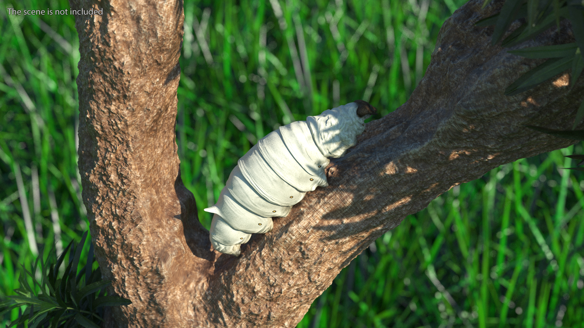 3D model Silkworm White Rigged for Maya