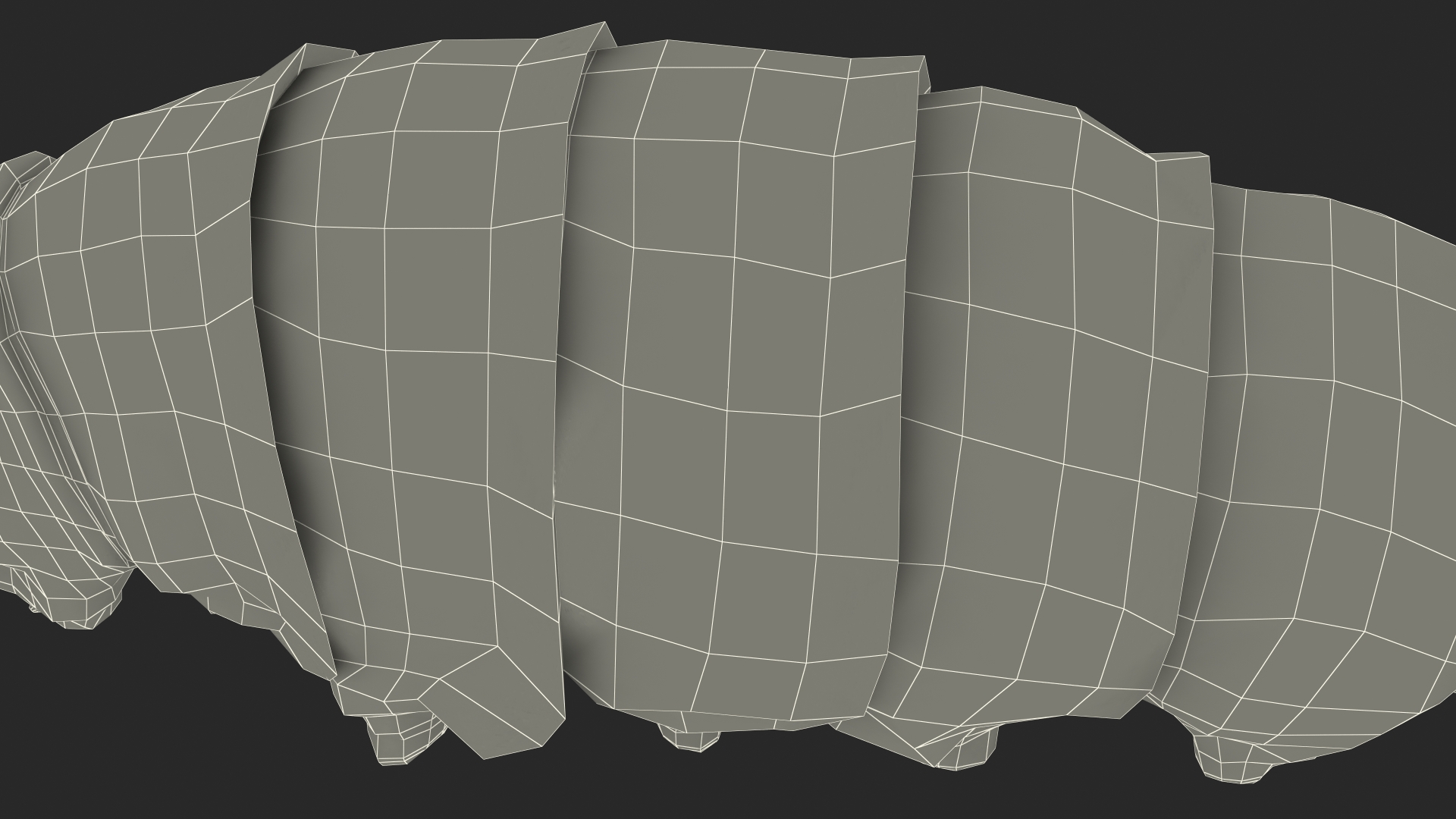 3D model Silkworm White Rigged for Maya