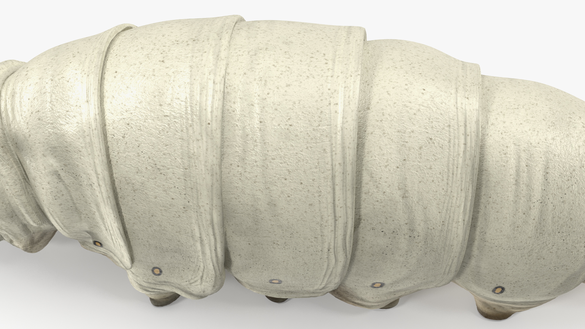 3D model Silkworm White Rigged for Maya