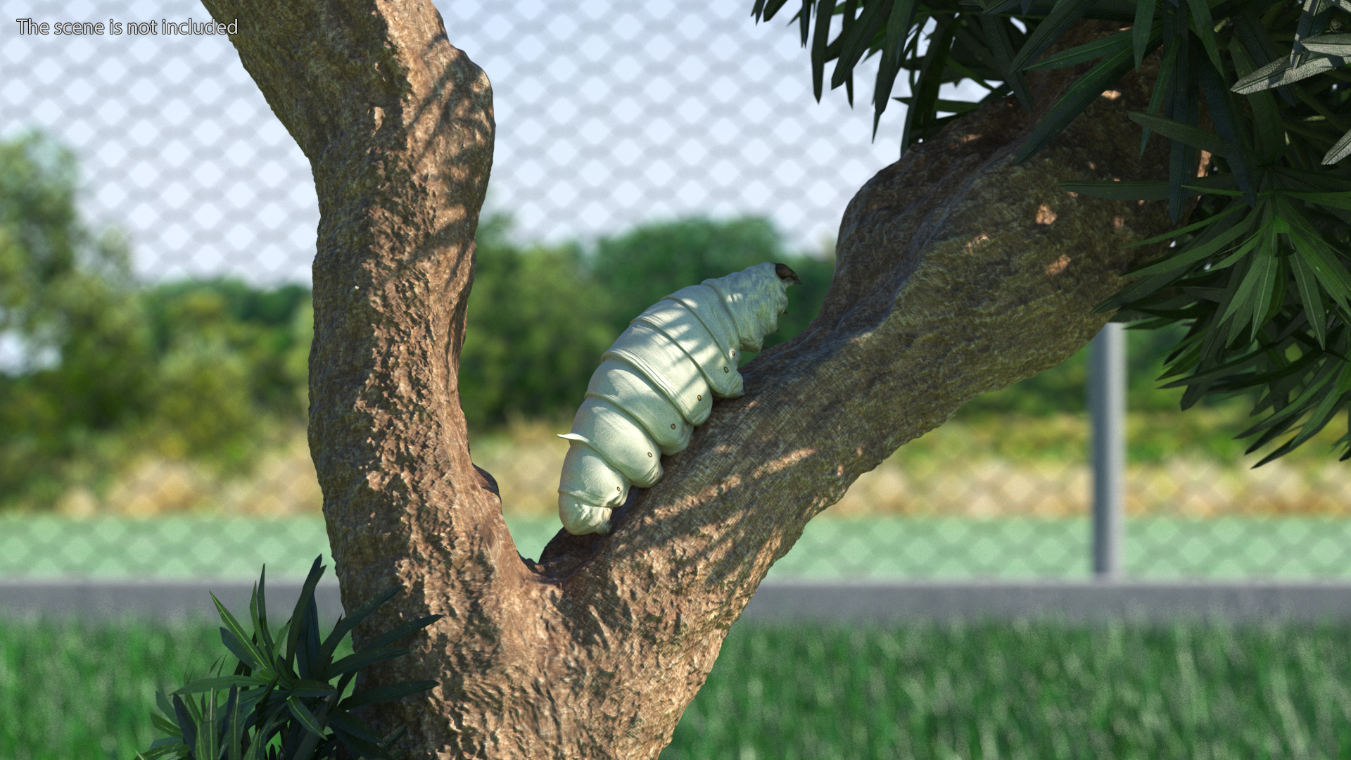 3D model Silkworm White Rigged for Maya